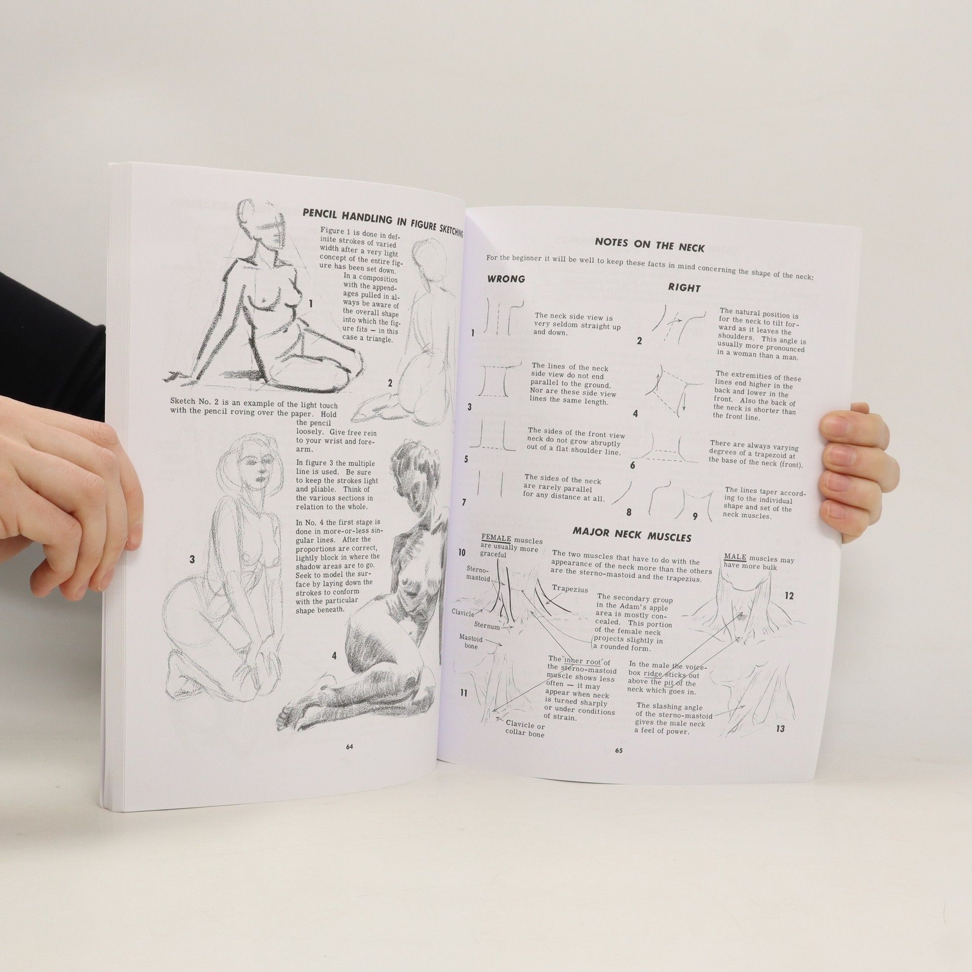 Jack Hamm Drawing the Head and Figure