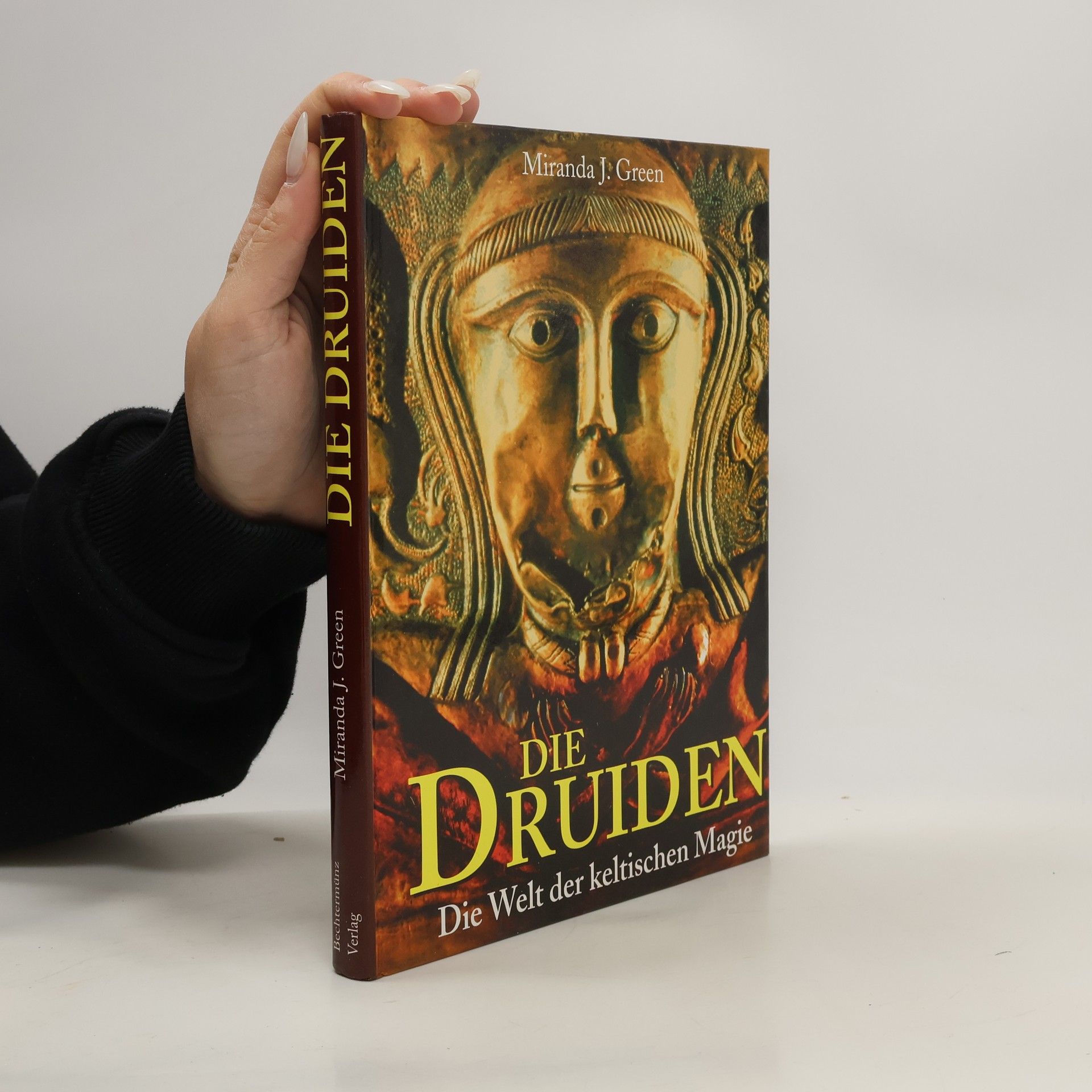 Miranda Aldhouse-Green Die Druiden