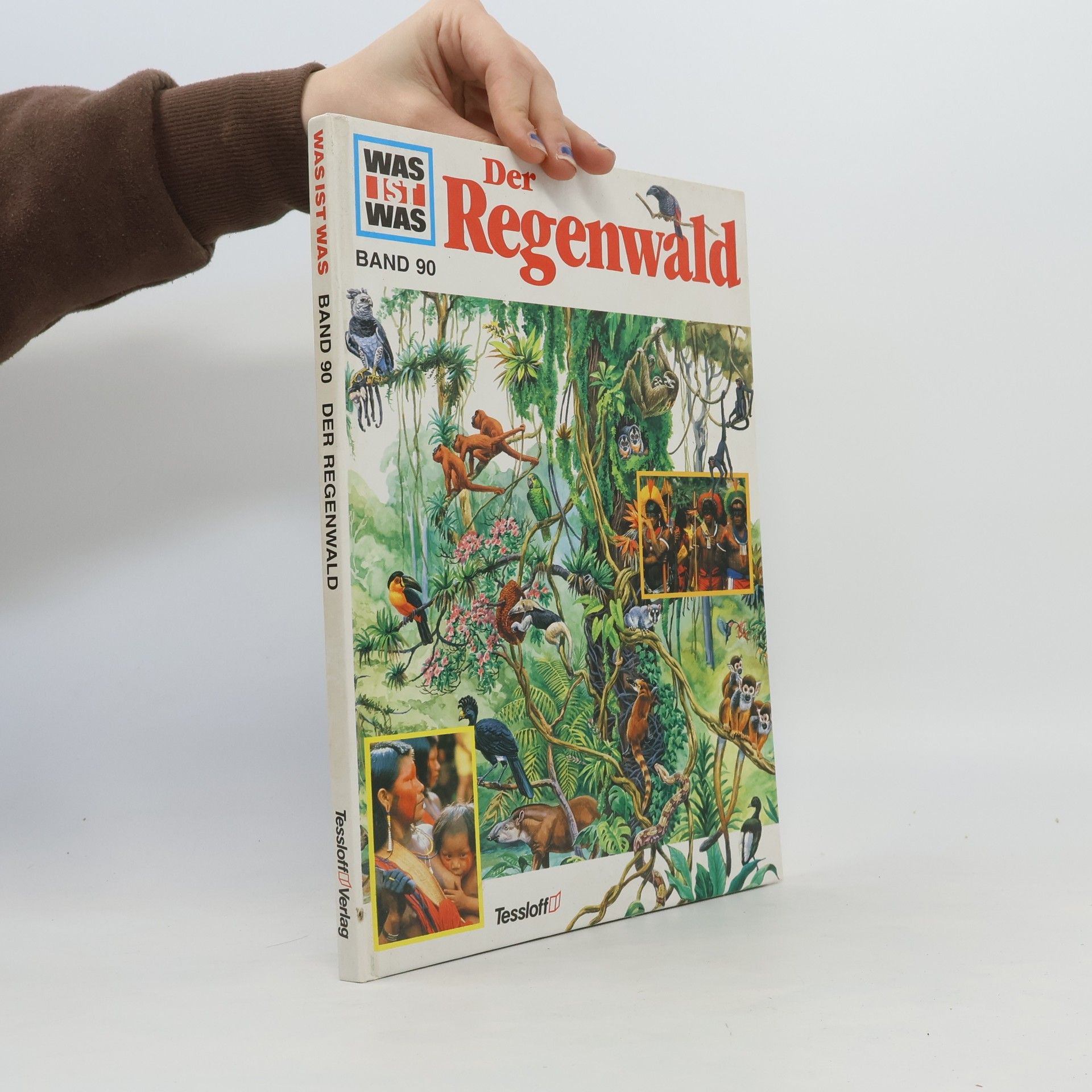 Andrea Mertiny Der Regenwald