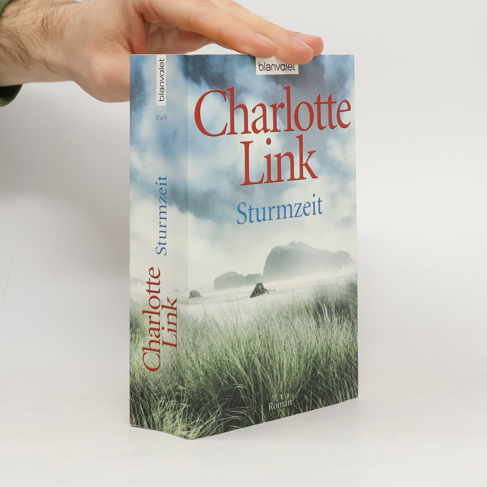 Charlotte Link Sturmzeit