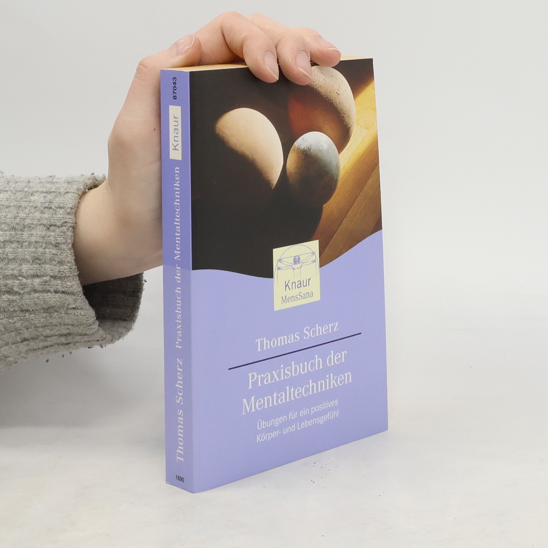Thomas Scherz Das Praxisbuch der Mentaltechniken