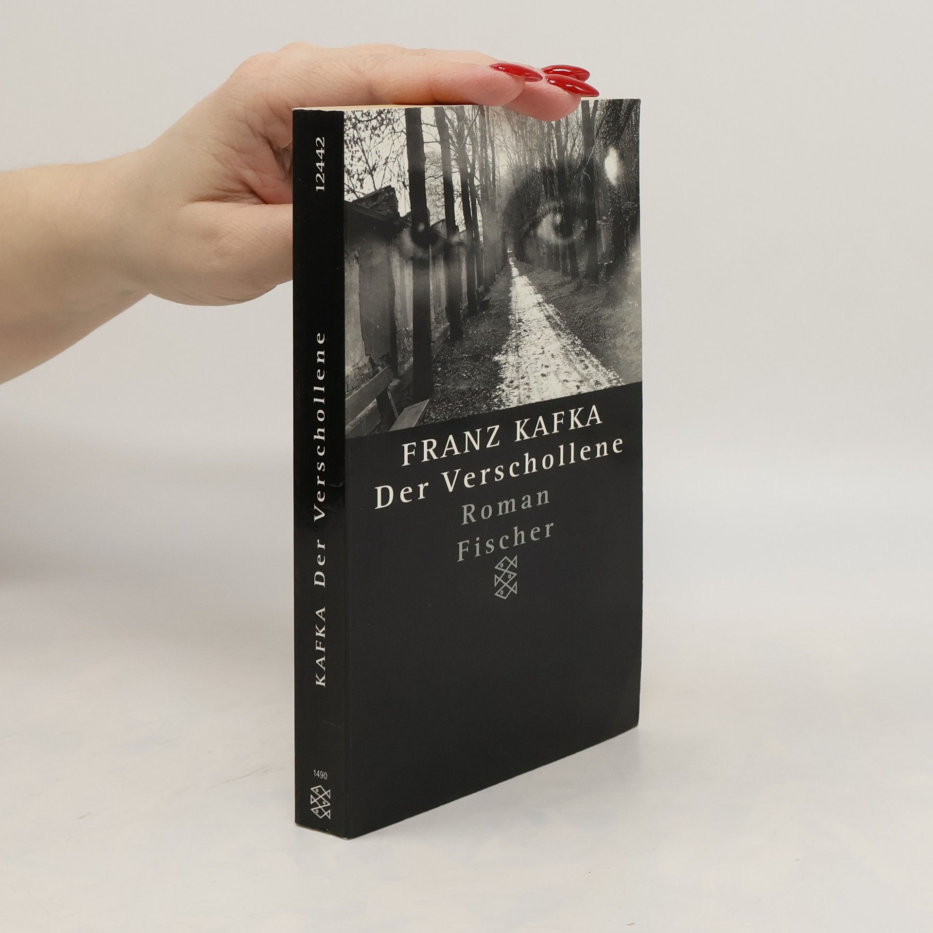 Franz Kafka Der Verschollene : Roman : in der Fassung der Handschrift