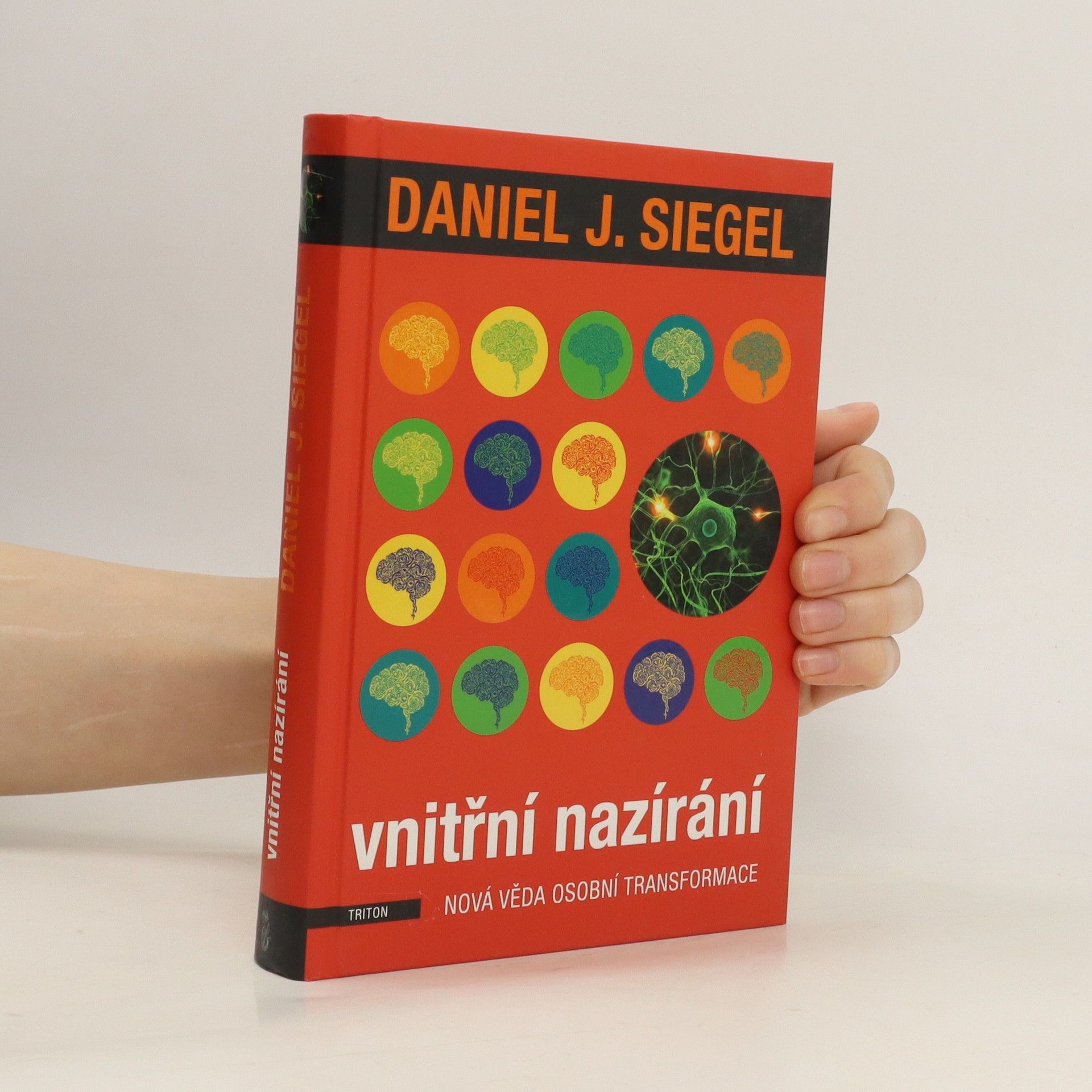 Daniel J. Siegel Vnitřní nazírání