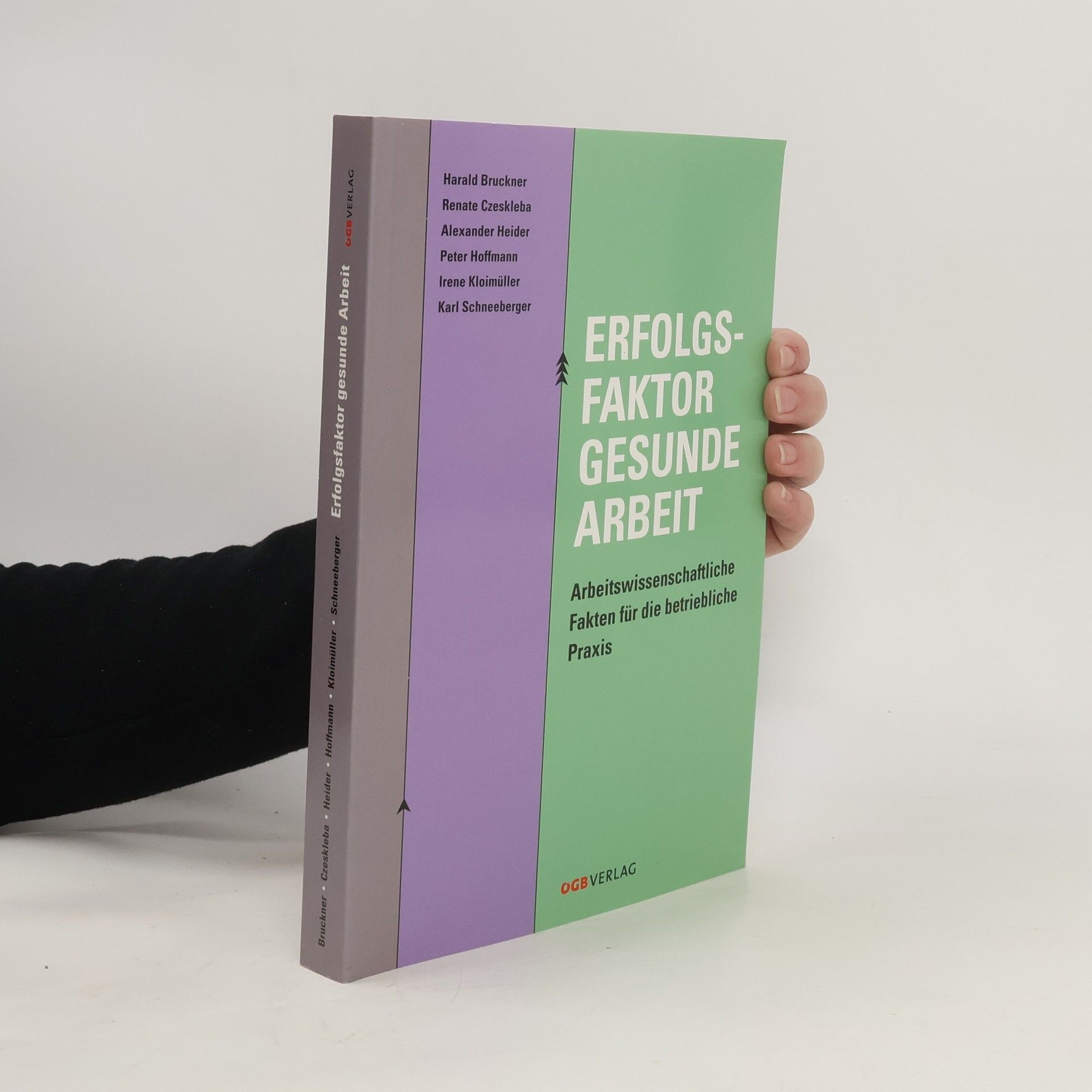 Harald Bruckner Erfolgsfaktor gesunde Arbeit