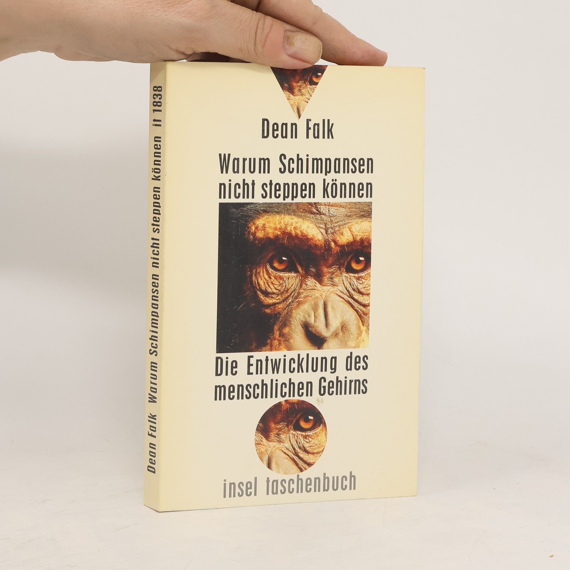 Dean Falk Warum Schimpansen nicht steppen können