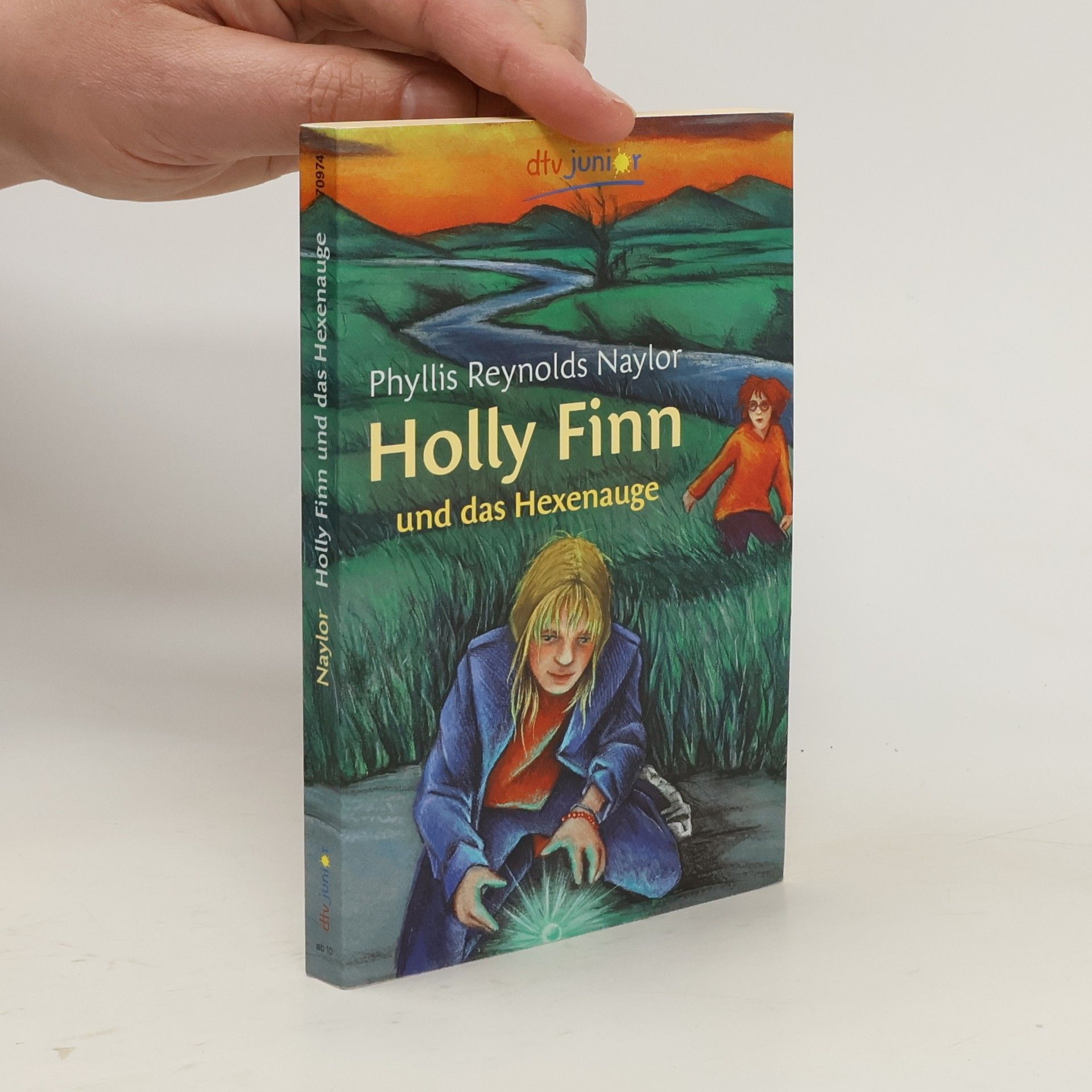 Phyllis Reynolds-Naylor Holly Finn und das Hexenauge