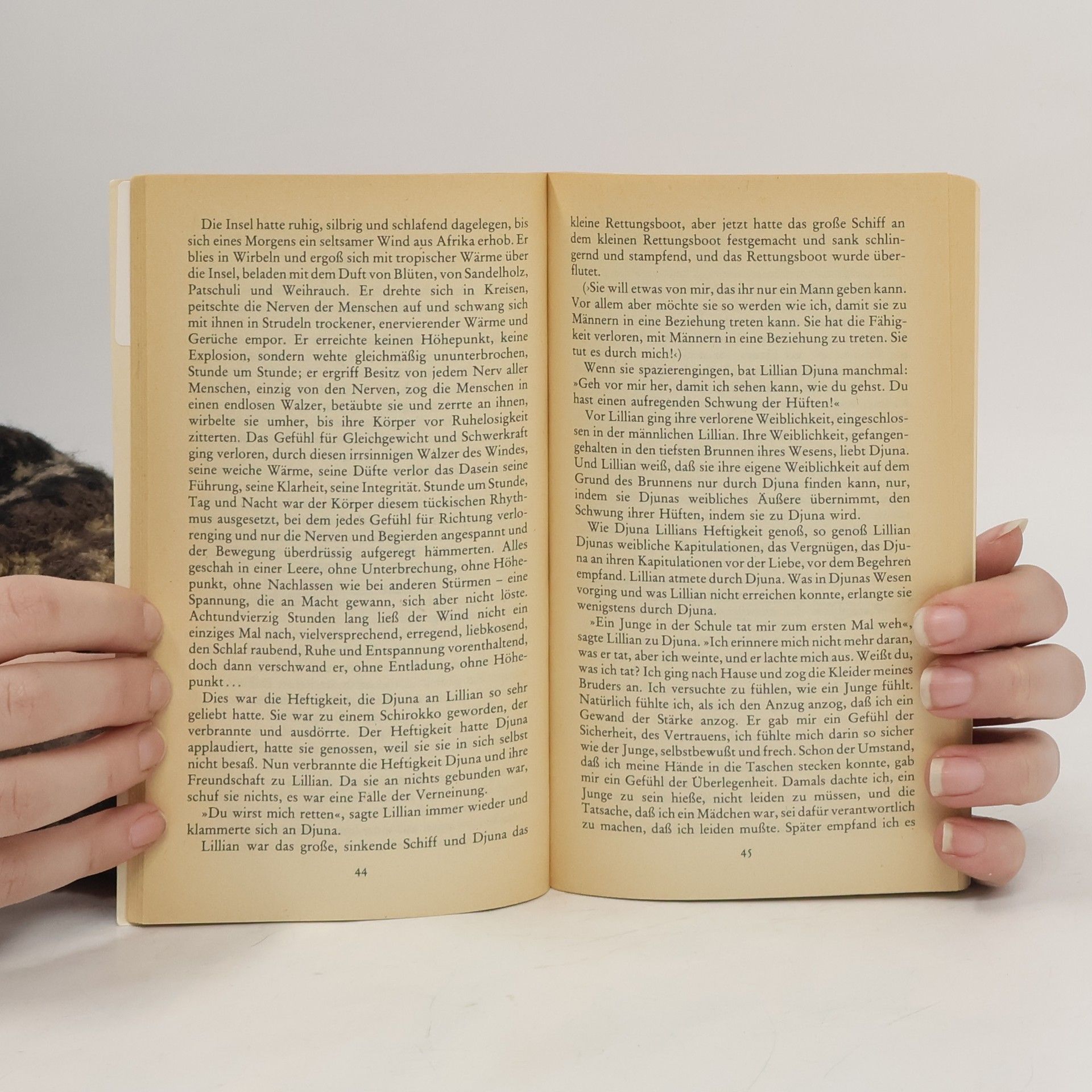 Anaïs Nin Leitern ins Feuer