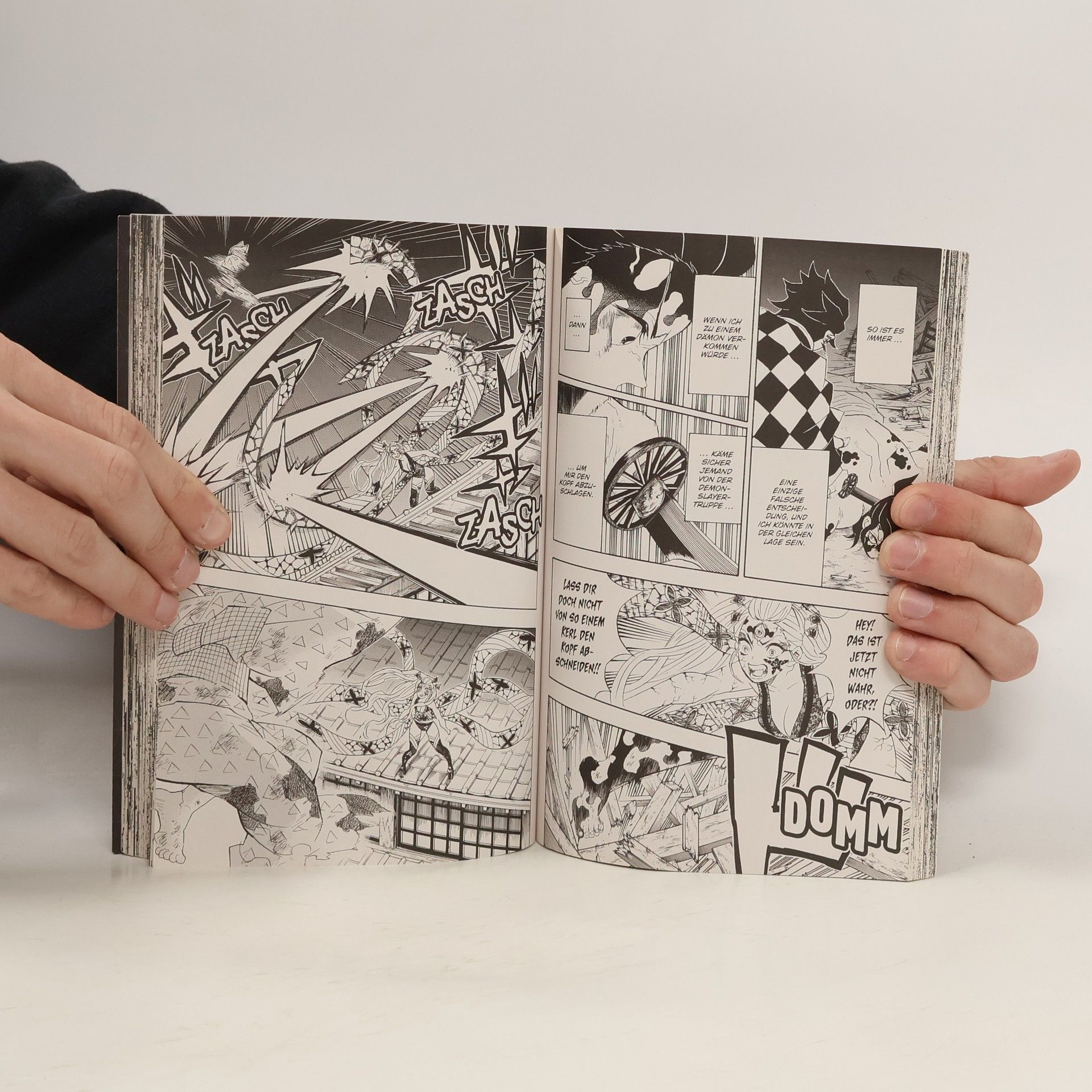 Koyoharu Gotoge Demon Slayer 11