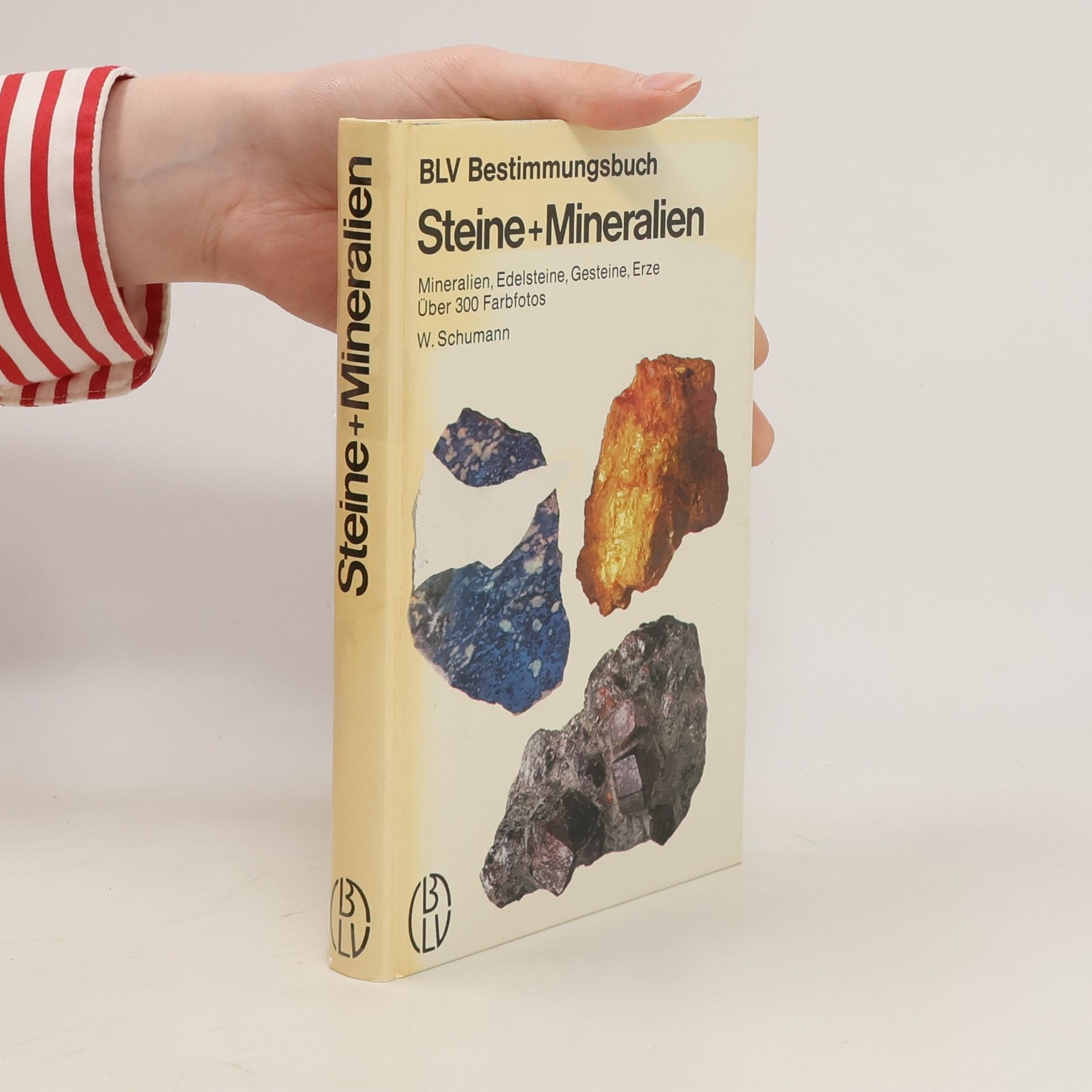 Walter Schumann Steine und Mineralien