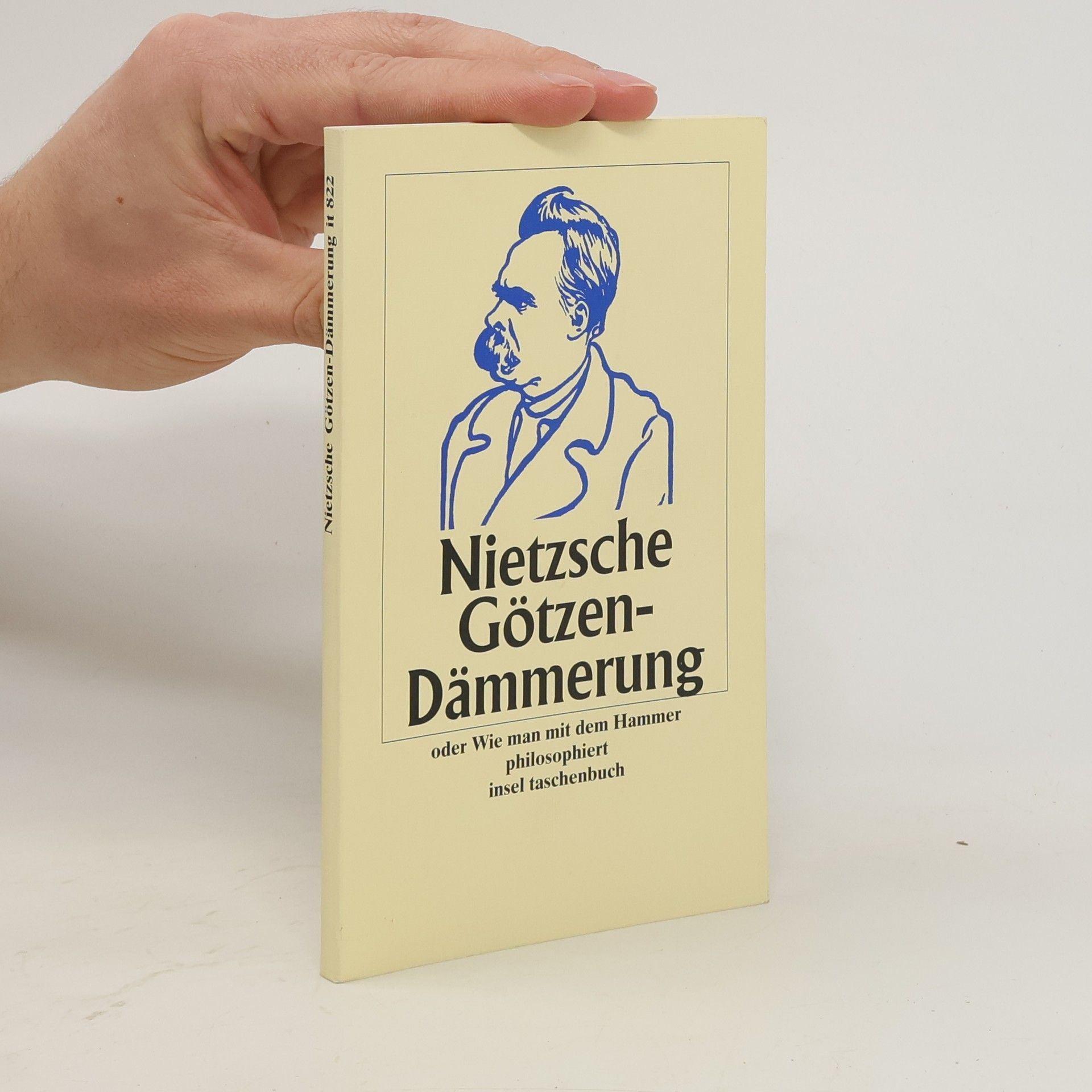Friedrich Nietzsche Götzendämmerung oder wie man mit dem Hammer philosophiert