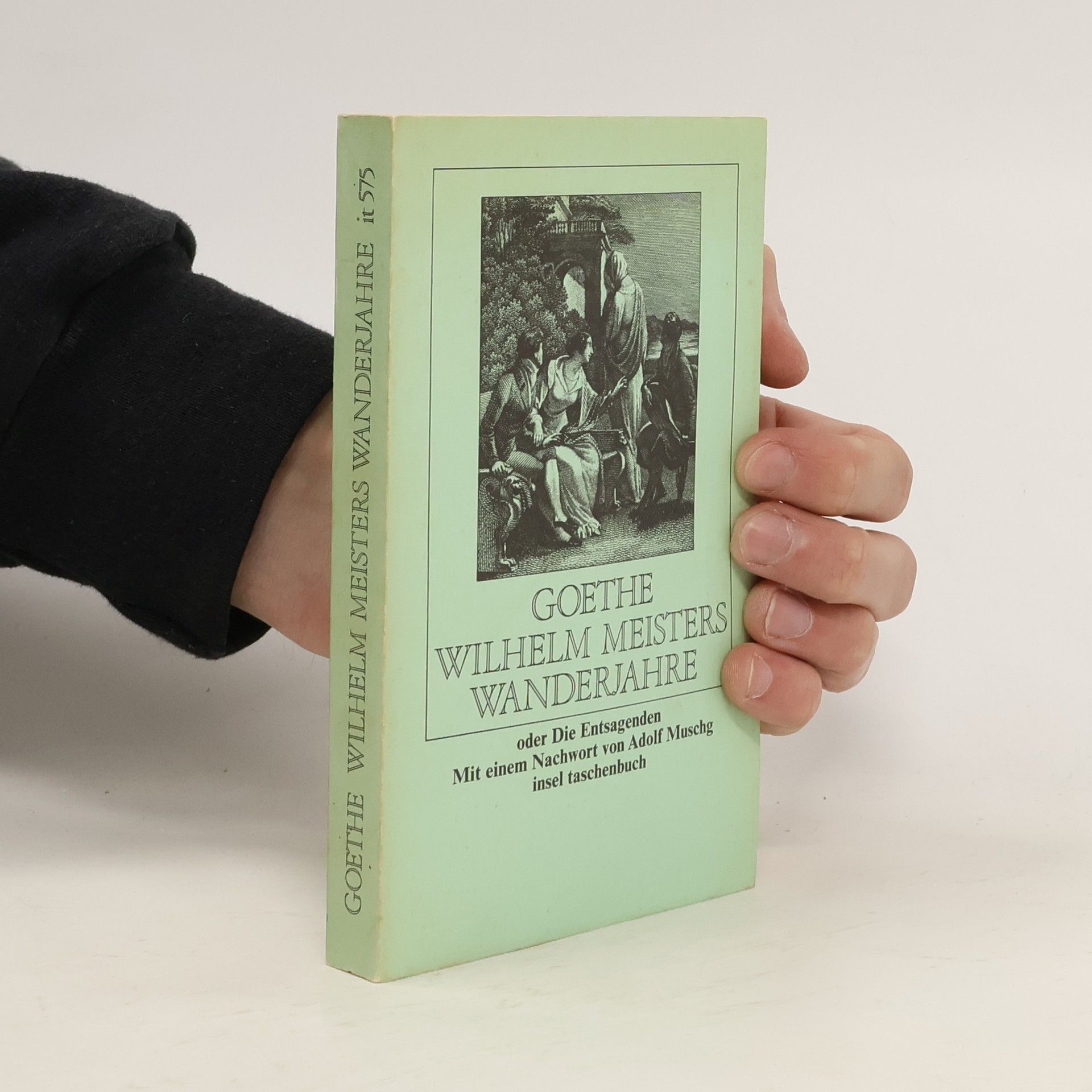 Johann Wolfgang von Goethe Wilhelm Meisters Wanderjahre, oder, die Entsagenden