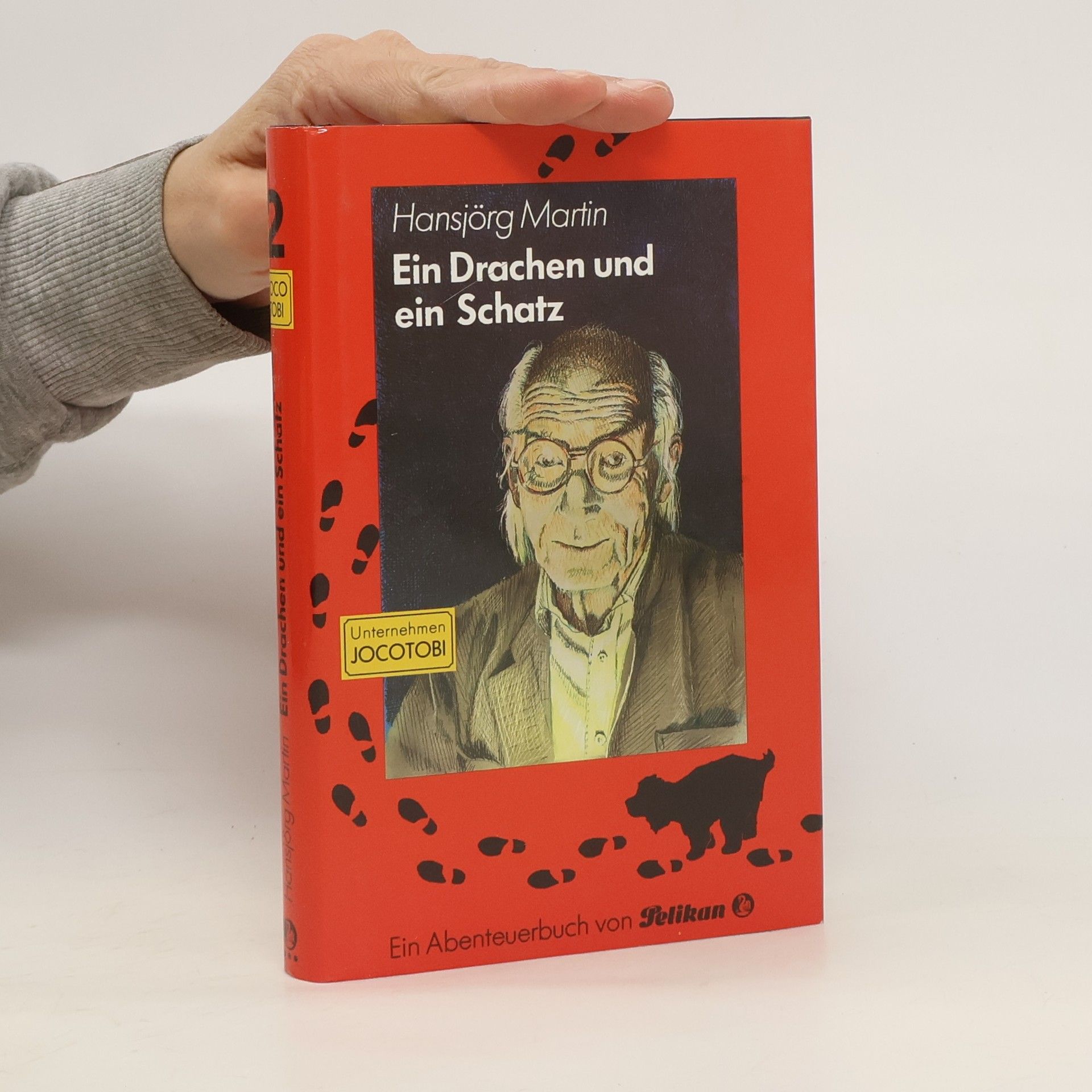 Hansjörg Martin Unternehmen Jocorobi 2. Ein Drachen und ein Schatz