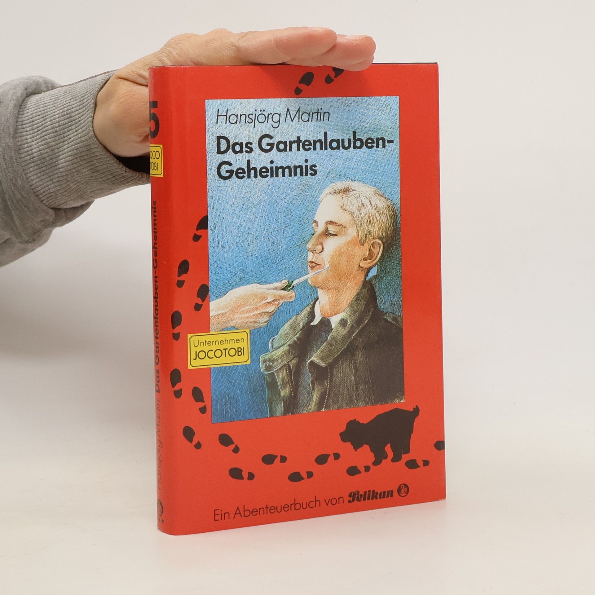 Hansjörg Martin Das Gartenlauben-Geheimnis