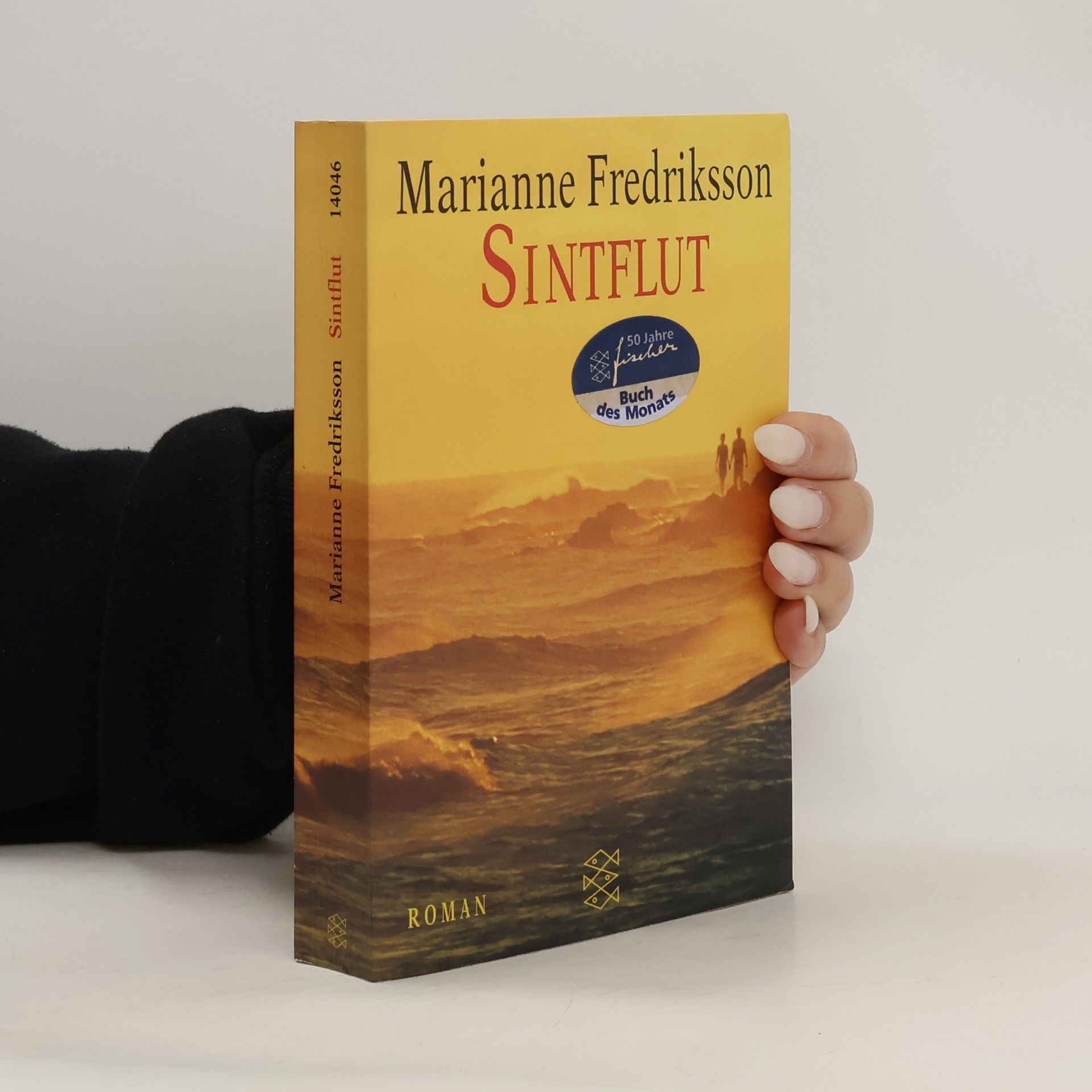 Marianne Fredriksson Sintflut