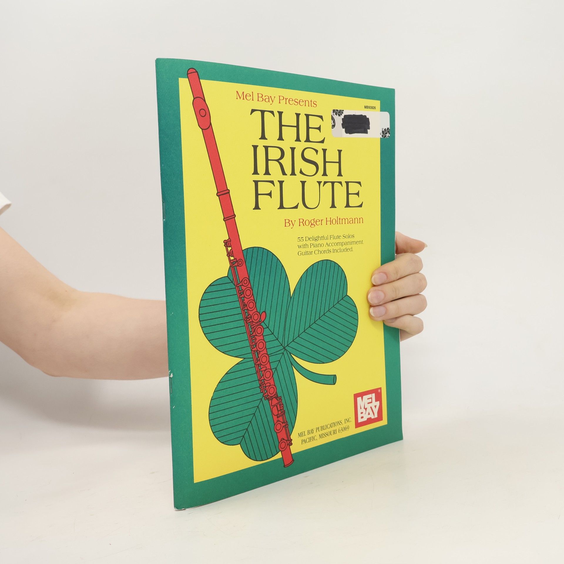 Roger Holtmann The Irish Flute