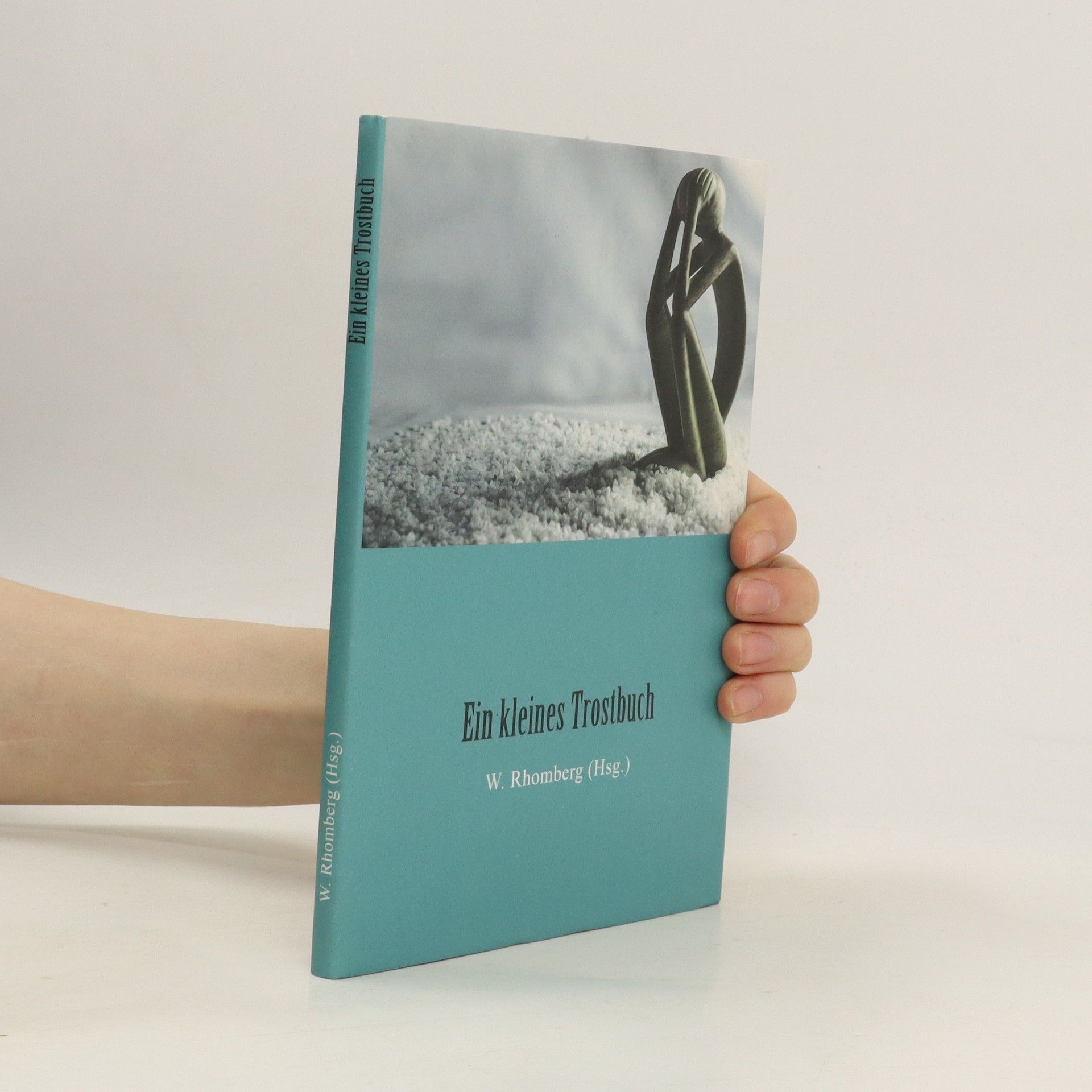 Walter Rhomberg Ein kleines Trostbuch