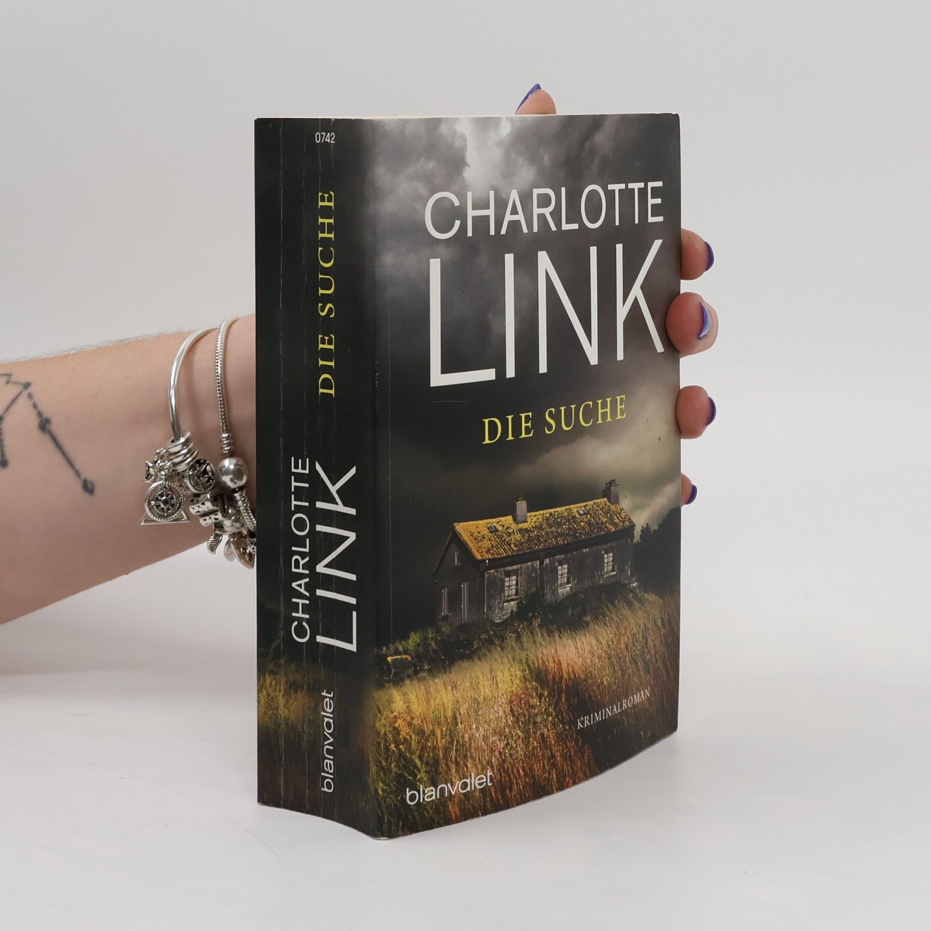 Charlotte Link Die Suche