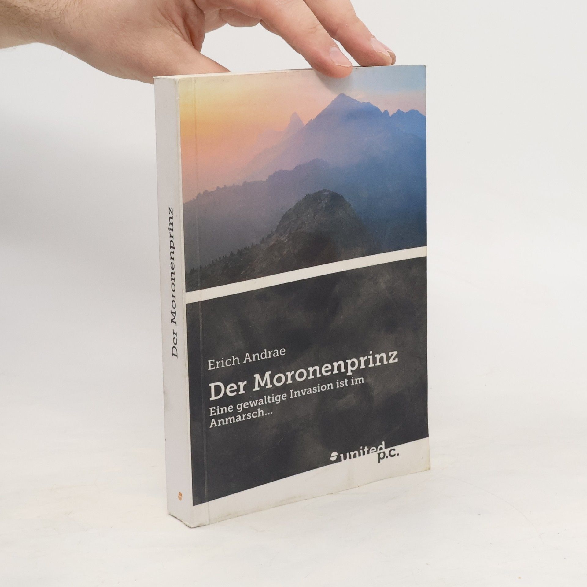 Erich Andrae Der Moronenprinz