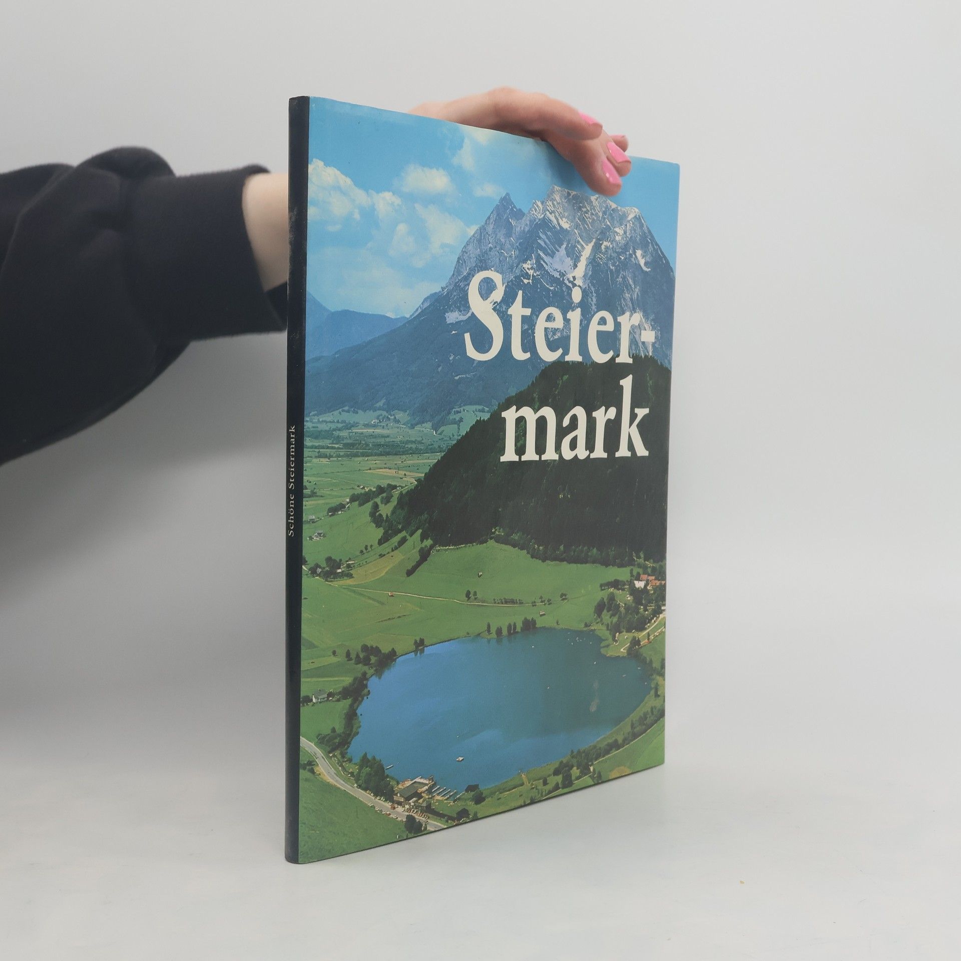 Autorenkollektiv Steier mark