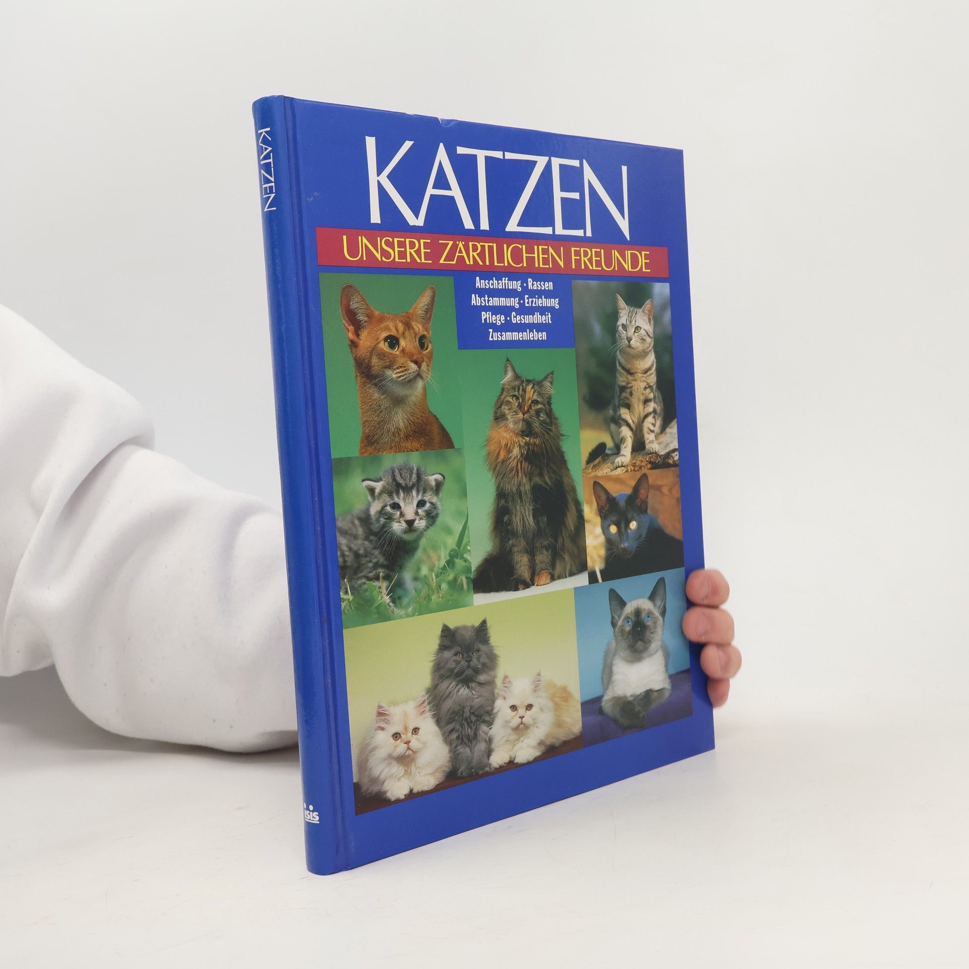 kolektiv Katzen
