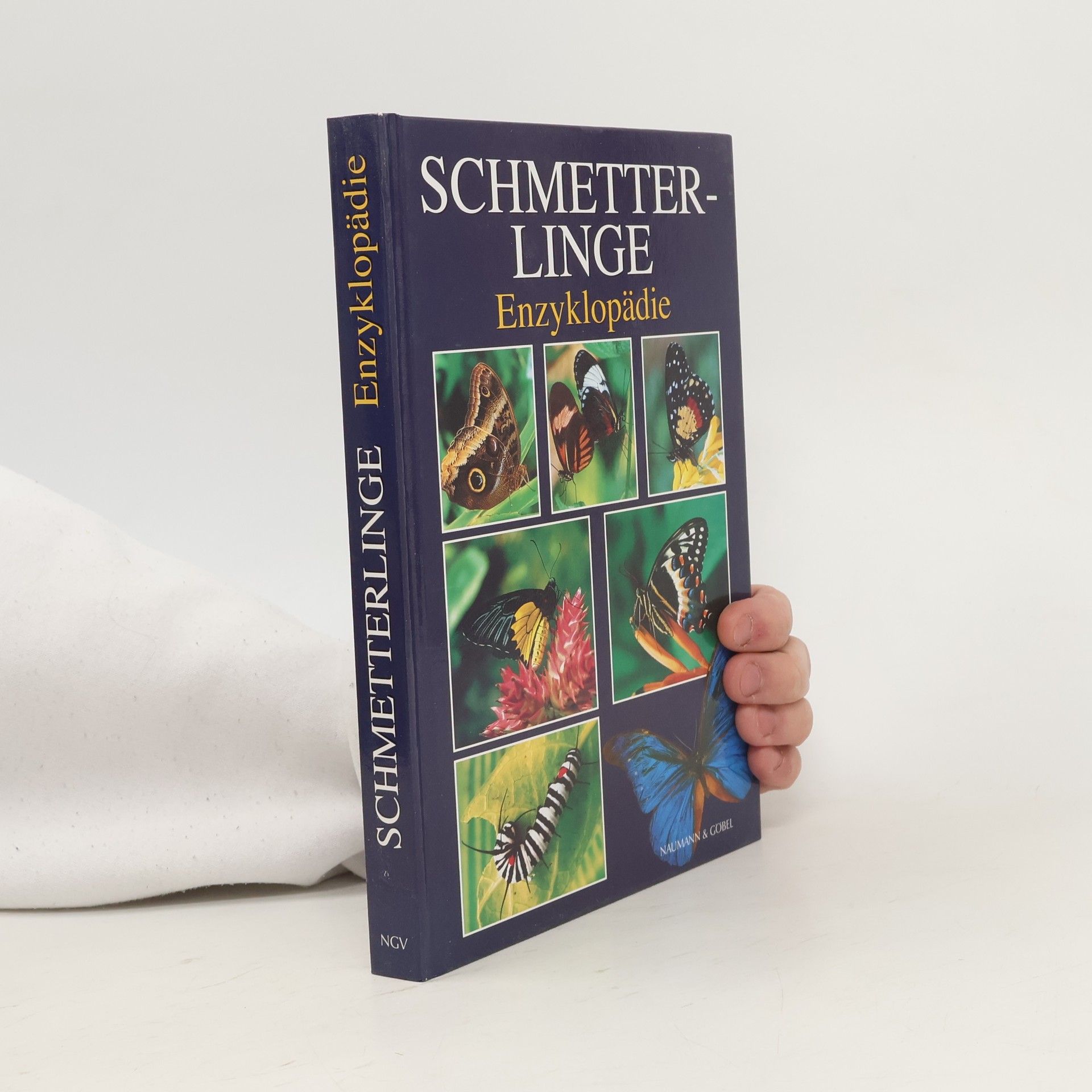 Wijbren Landman Schmetterlinge Enzyklopädie