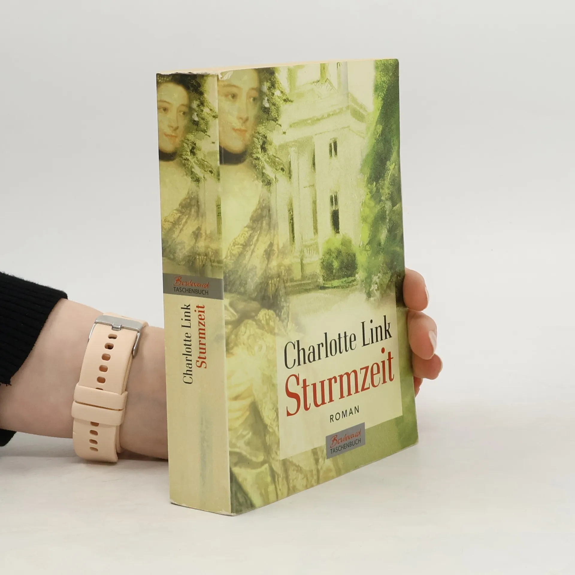 Sturmzeit | Buch | Paperback | Charlotte Link