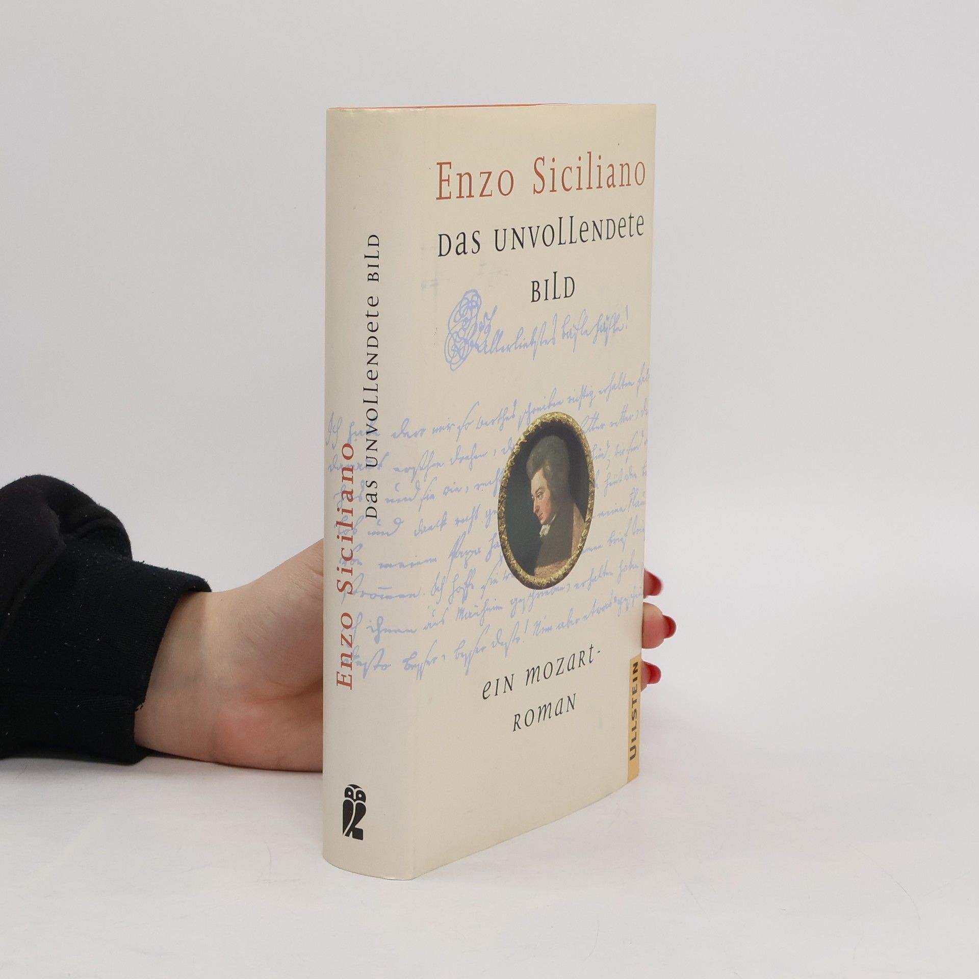 Enzo Siciliano Das unvollendete Bild
