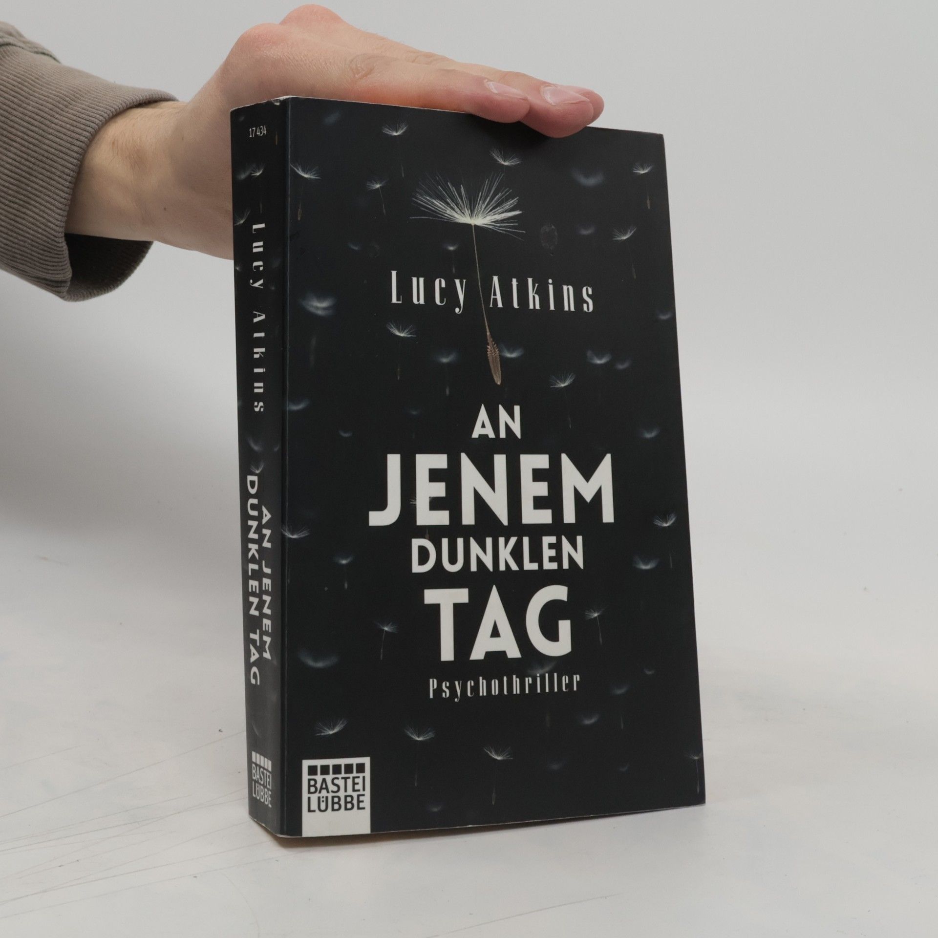 Lucy Atkins An jenem dunklen Tag