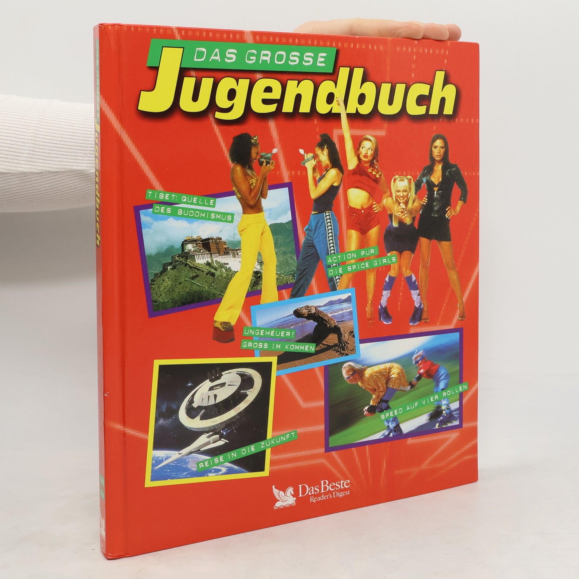 Autorenkollektiv Das grosse Jugendbuch