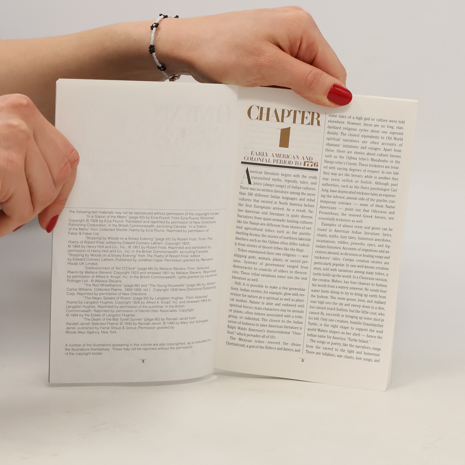 Collectif d'auteurs Outline of American Literature