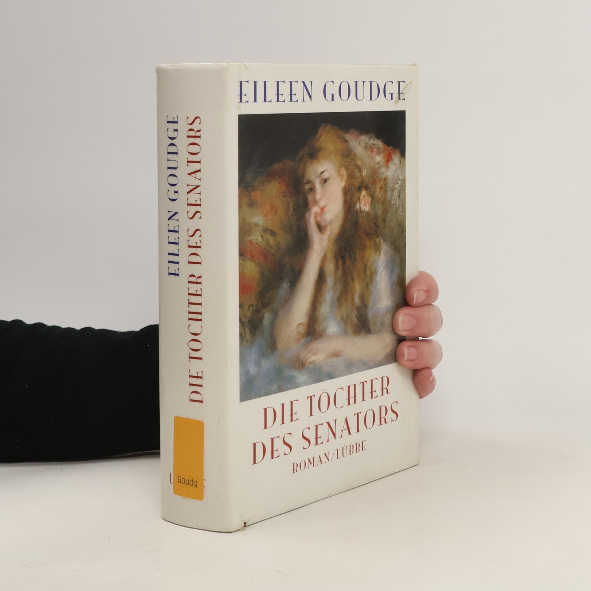 Eileen Goudge Die Töchter des Senators. Roman
