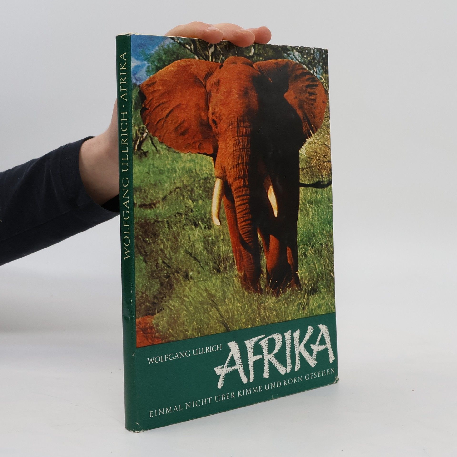 Wolfgang Ullrich Afrika