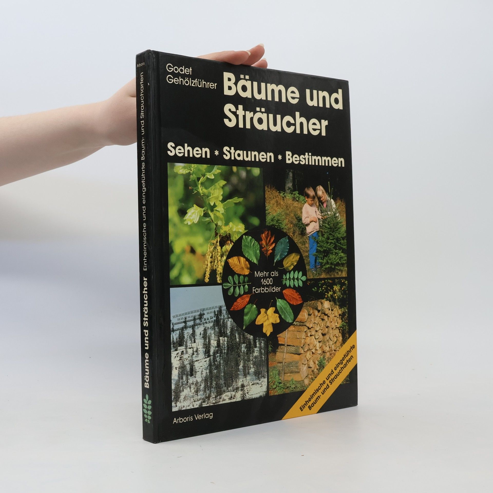 kolektiv Bäume und Sträucher