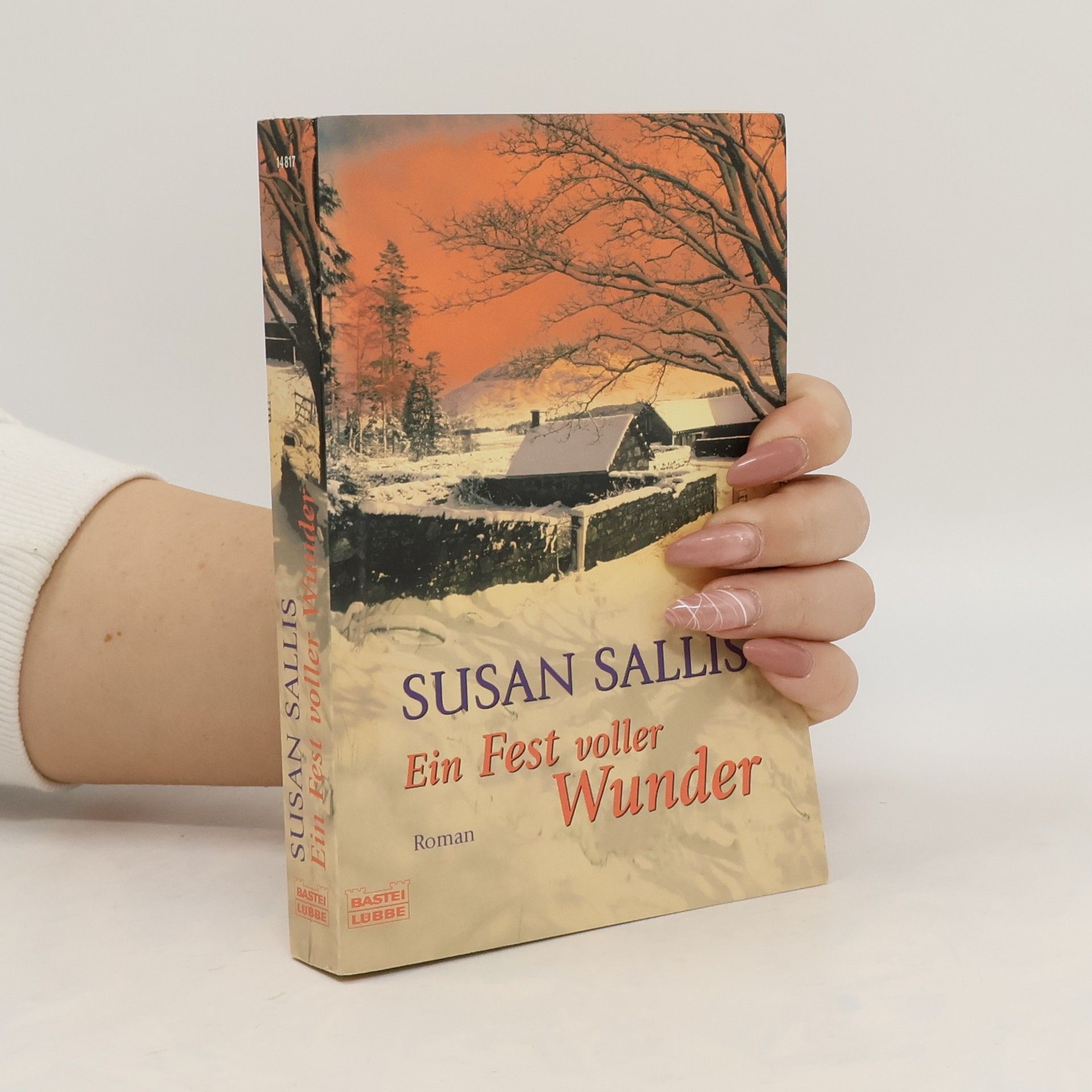 Susan Sallis Ein Fest voller Wunder