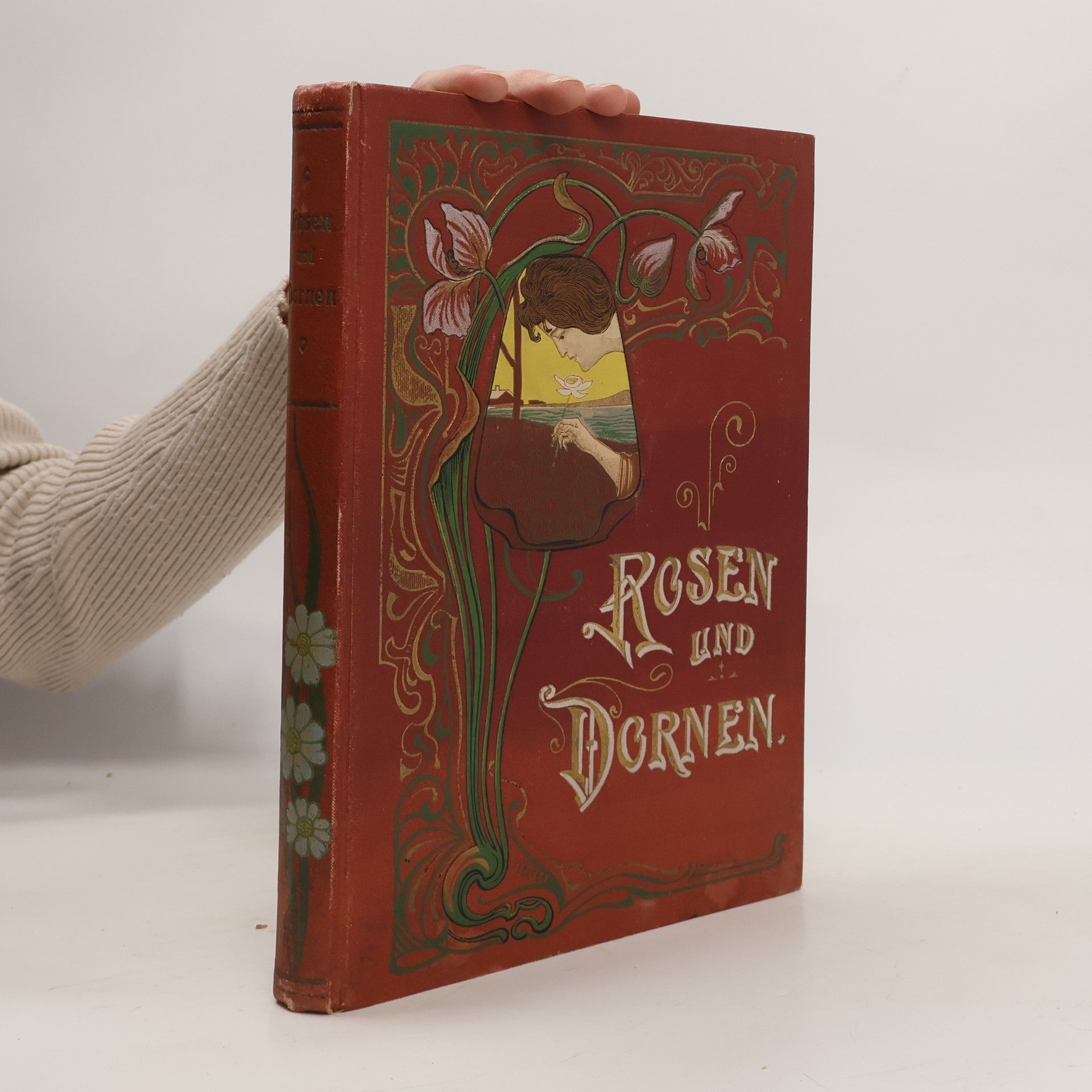 kolektiv Rosen und Dornen