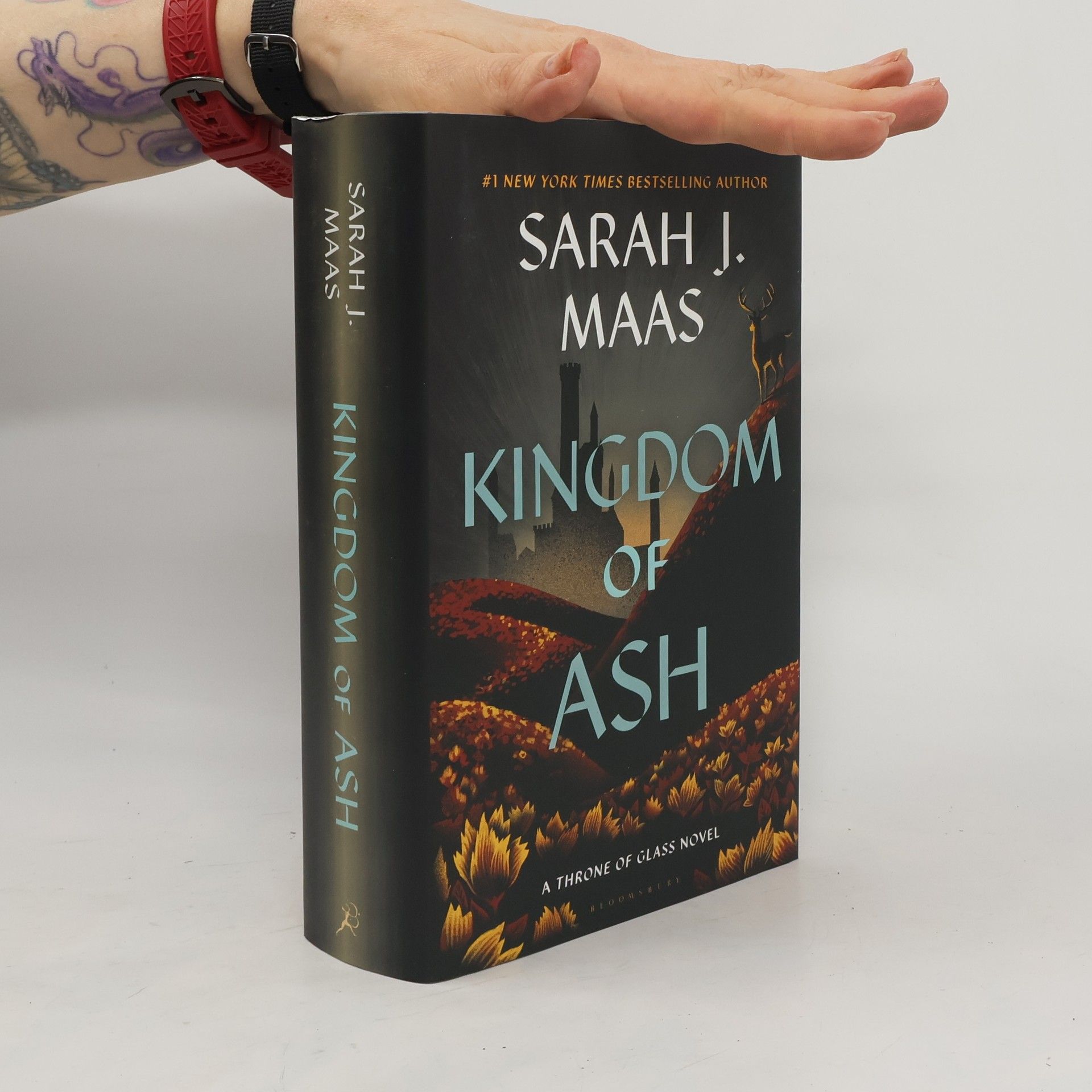 Sarah J. Maas Kingdom of Ash