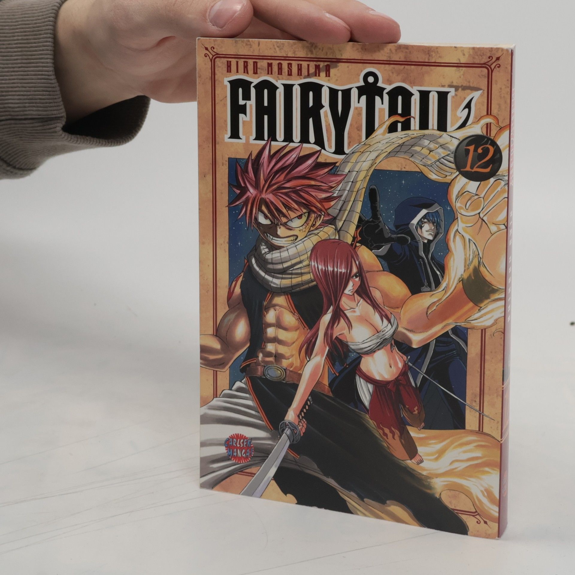 Hiro M. Fairy Tail Volume 12