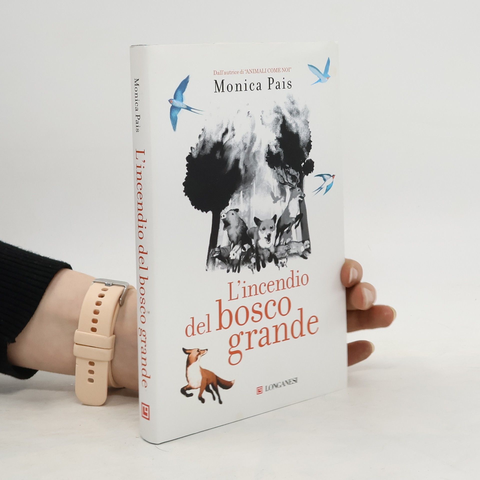 Monica Pais L'incendio del bosco grande