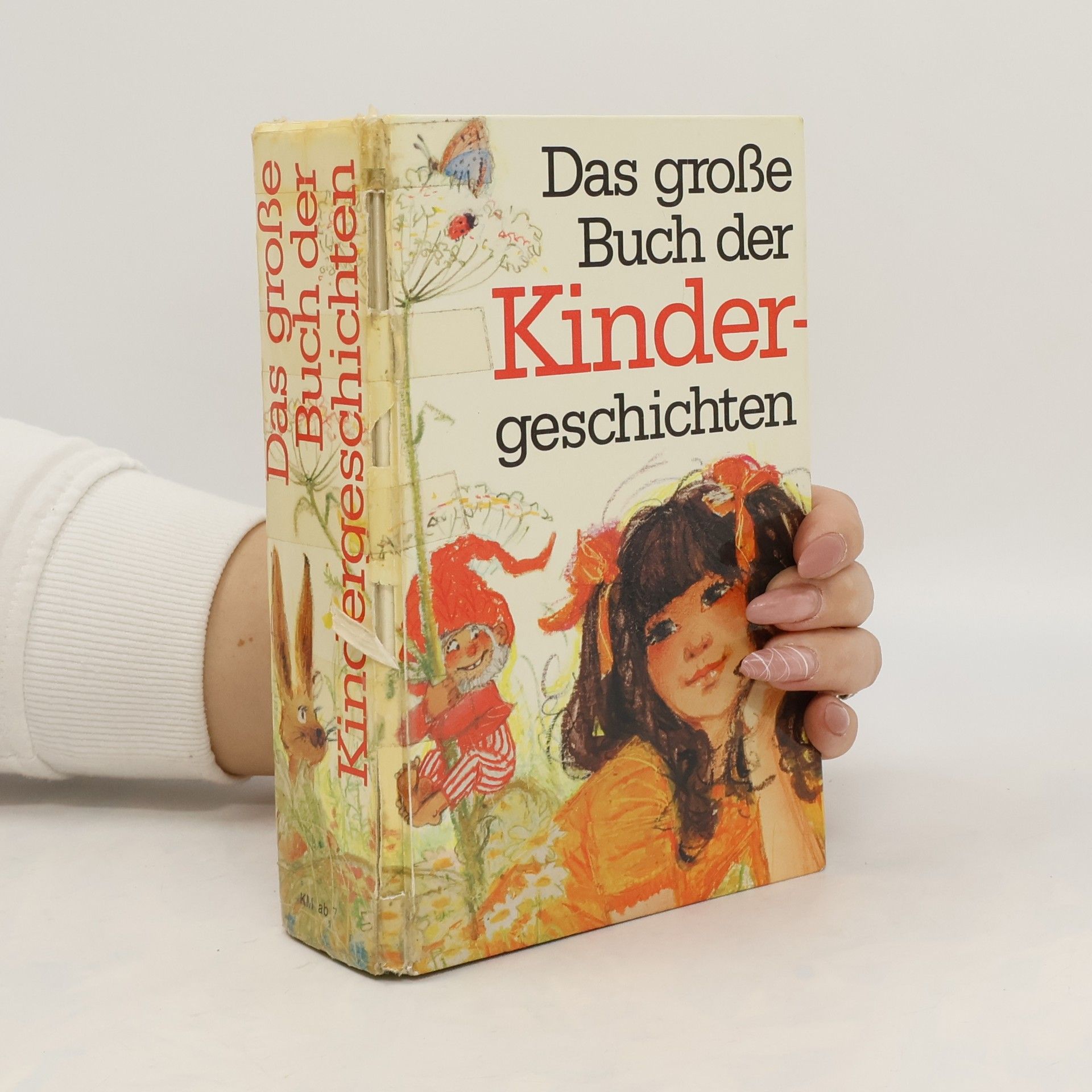 Autorenkollektiv Das große buch der Kindergeschichten