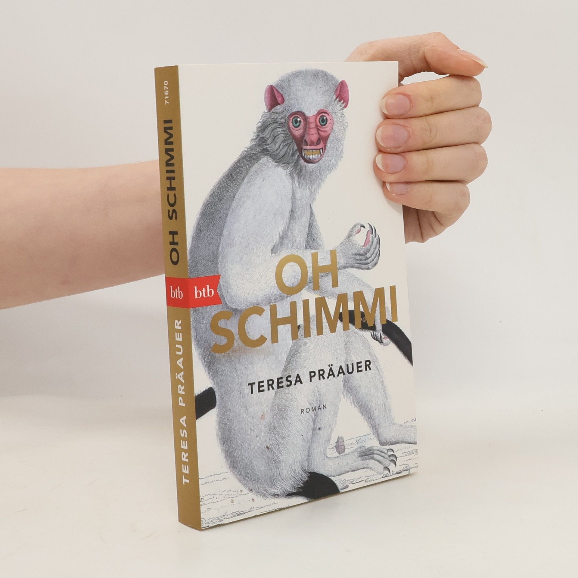 Teresa Präauer Oh Schimmi