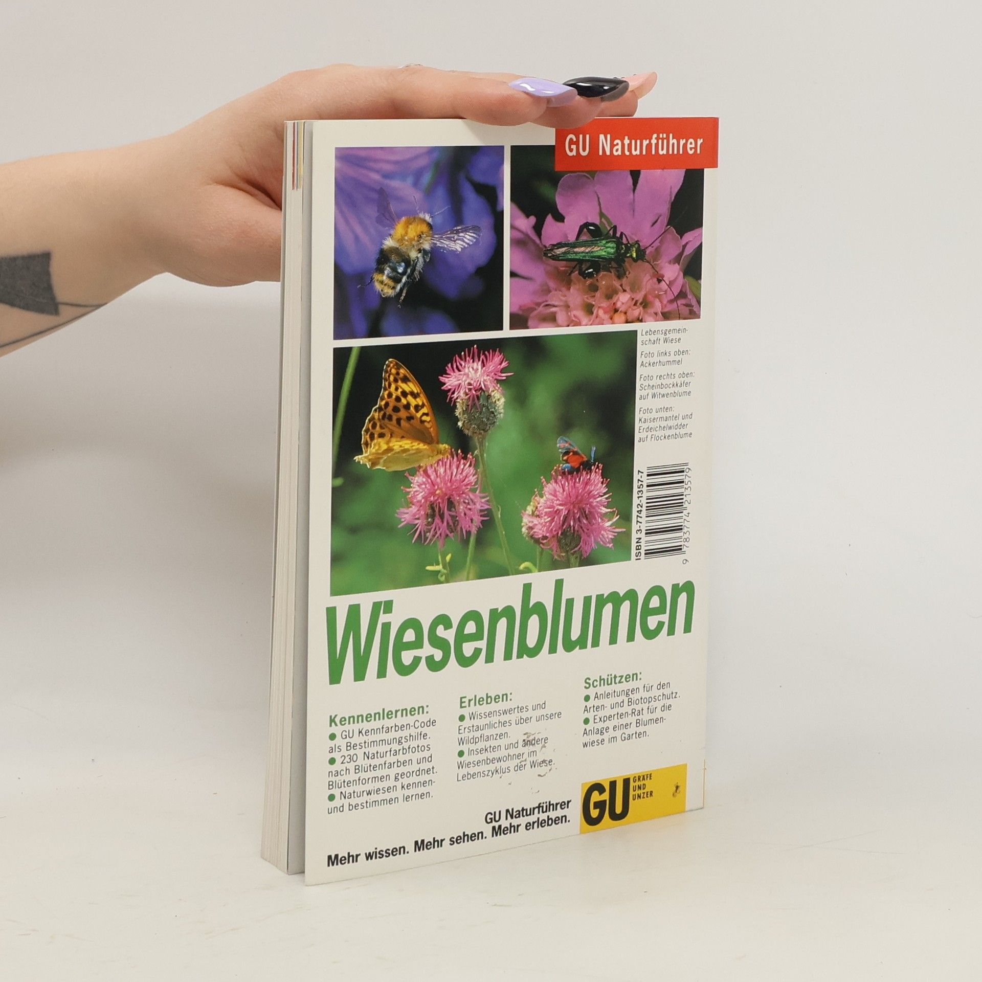 Bruno P. Kremer Wiesenblumen