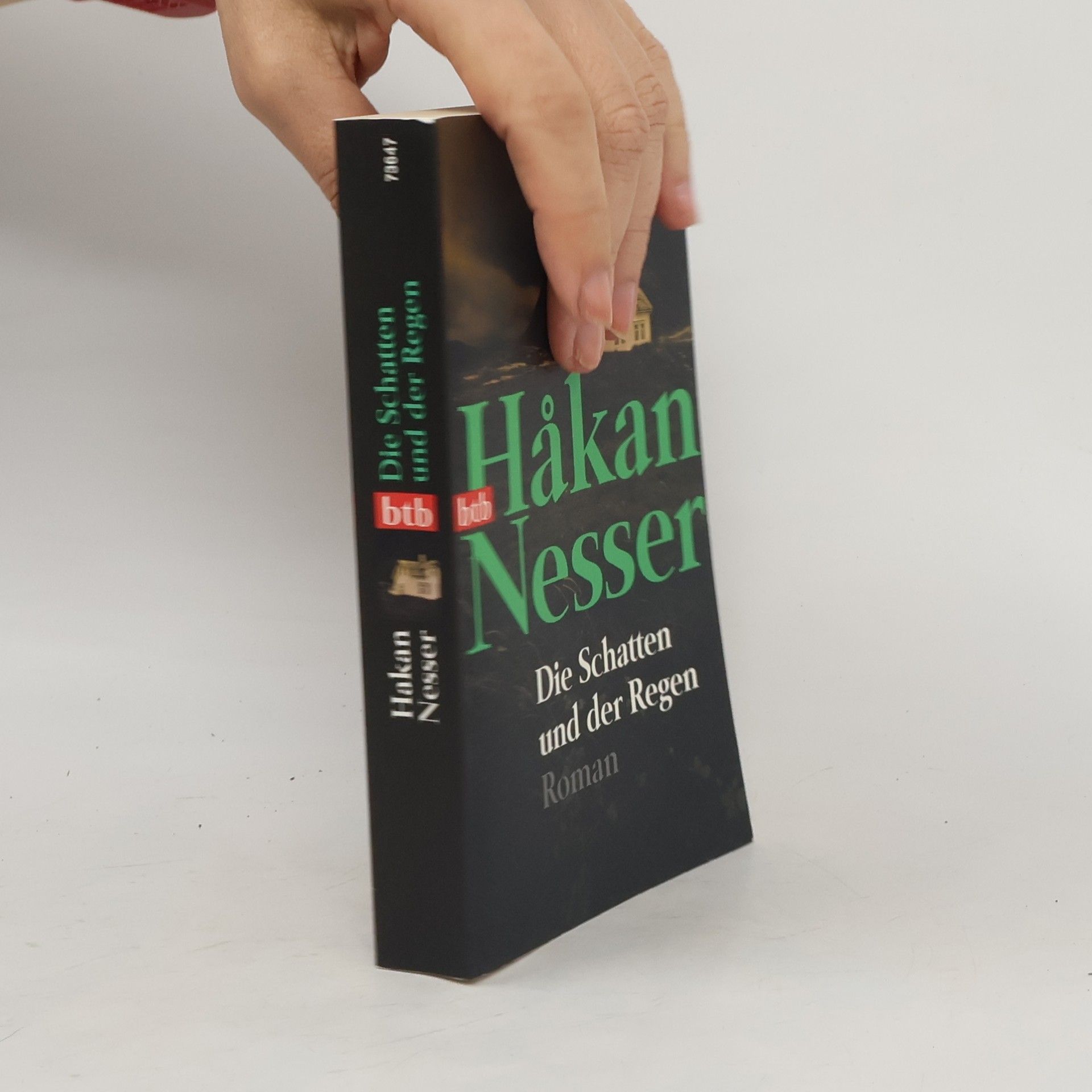 Håkan Nesser Die Schatten und der Regen