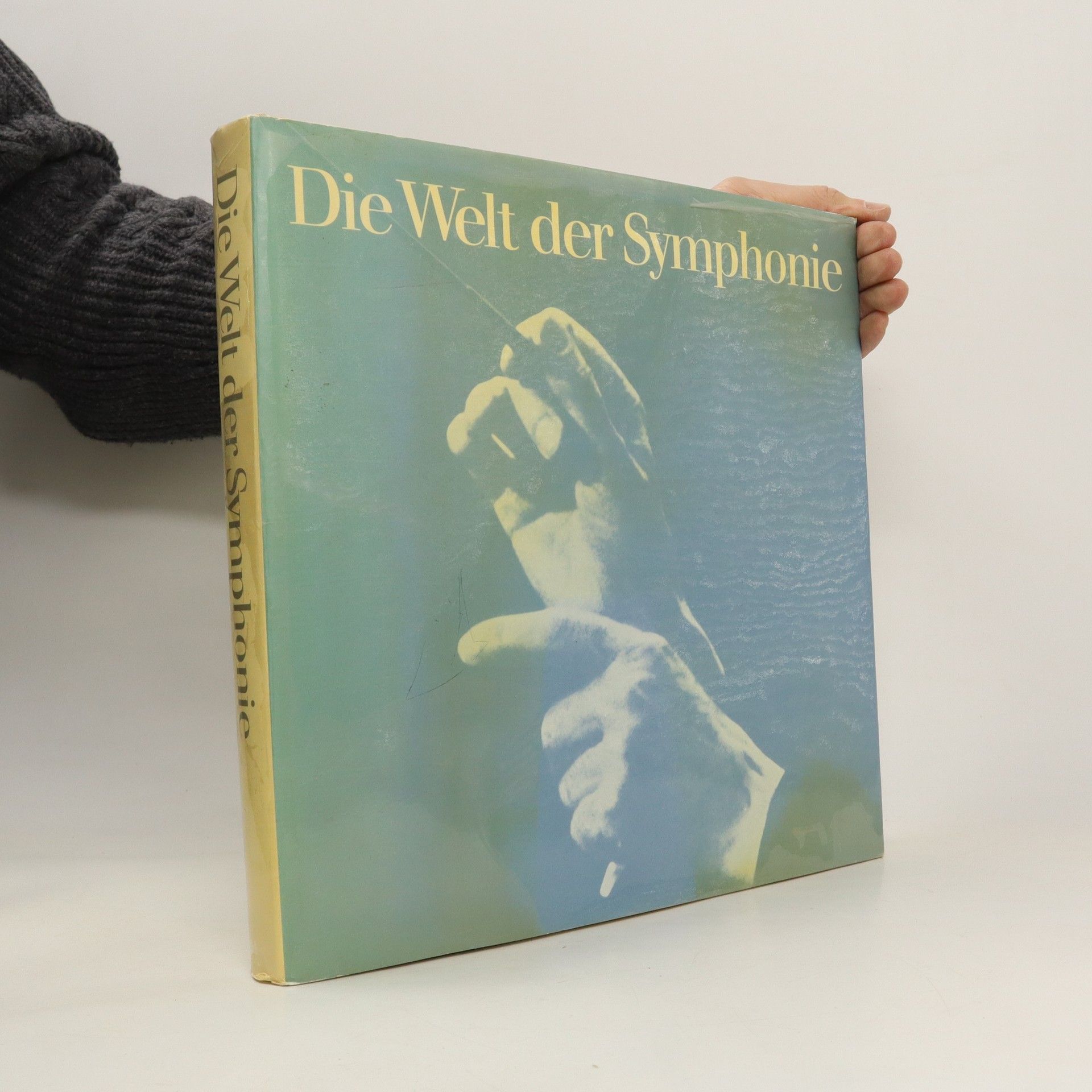 Ursula von Rauchhaupt Die Welt der Symphonie