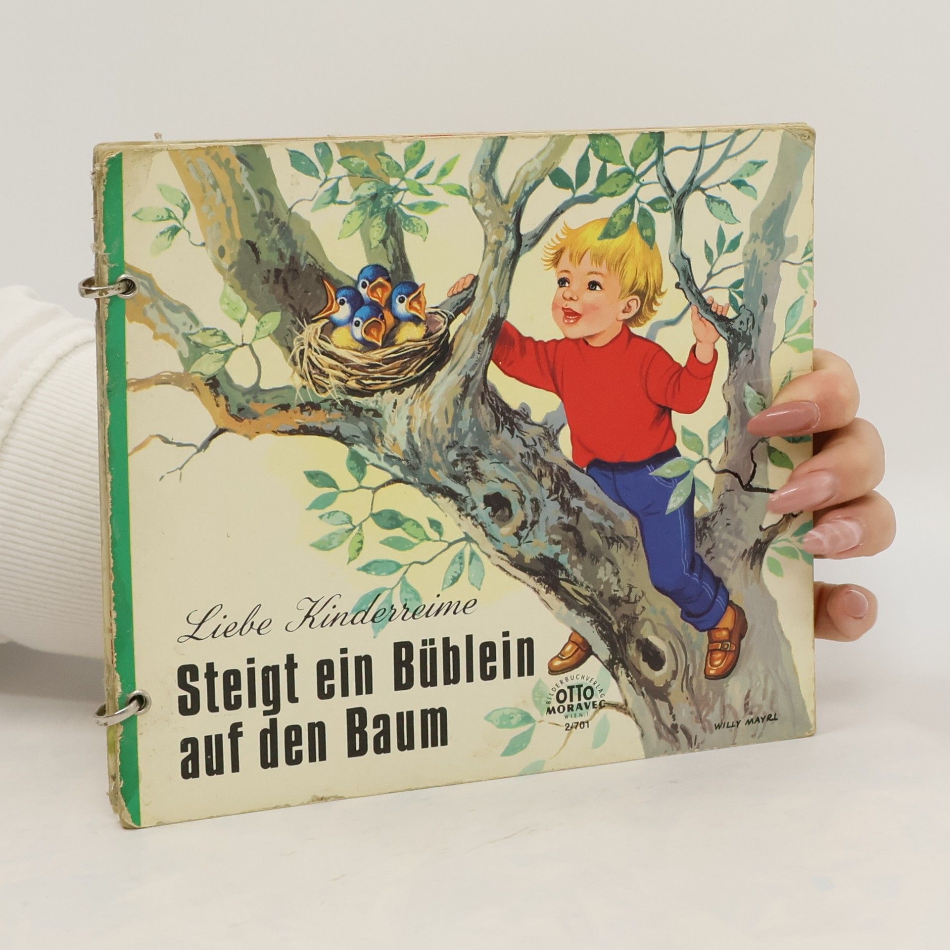 kolektiv Steigt ein Büblein auf den Baum