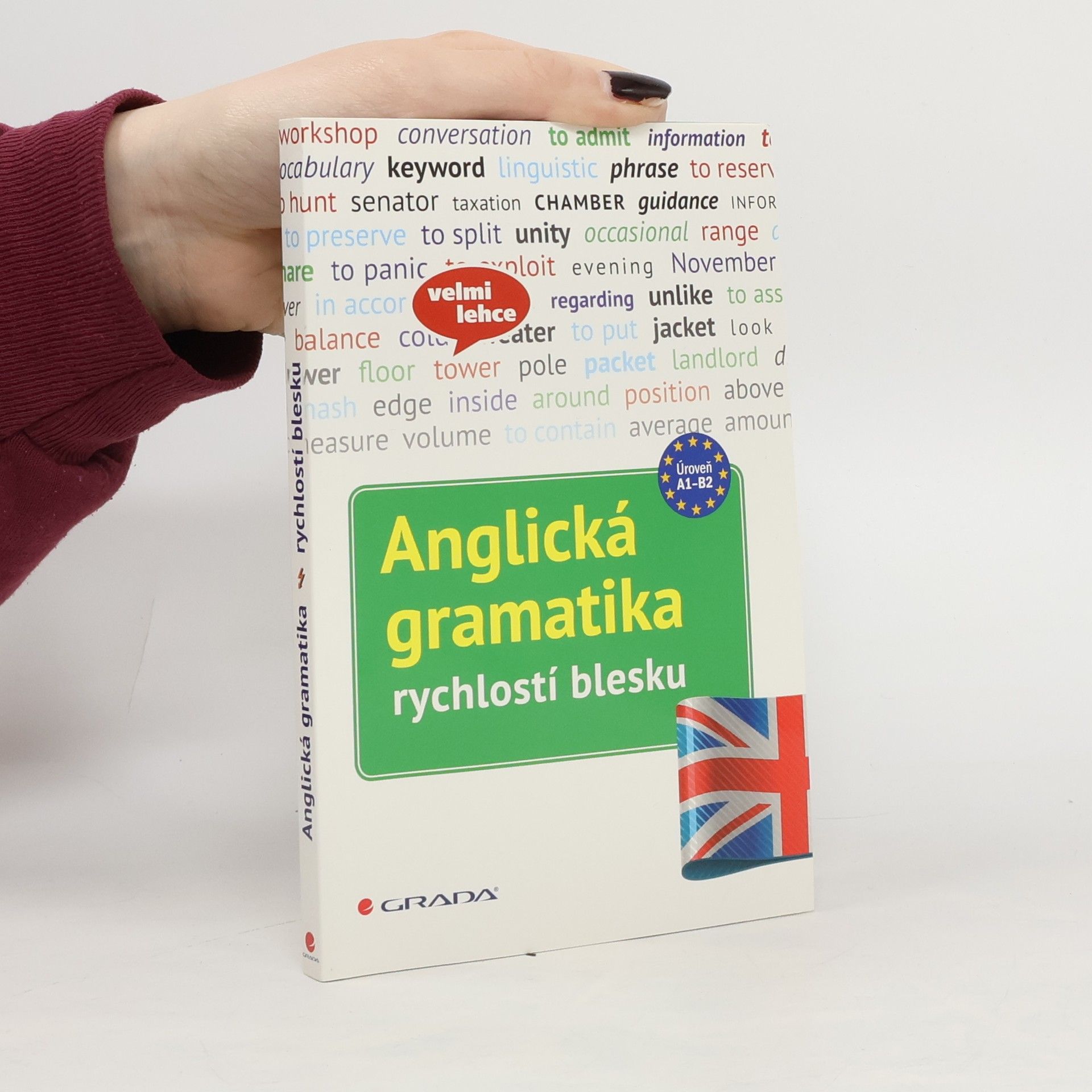 Martin Lutz Anglická gramatika: rychlostí blesku