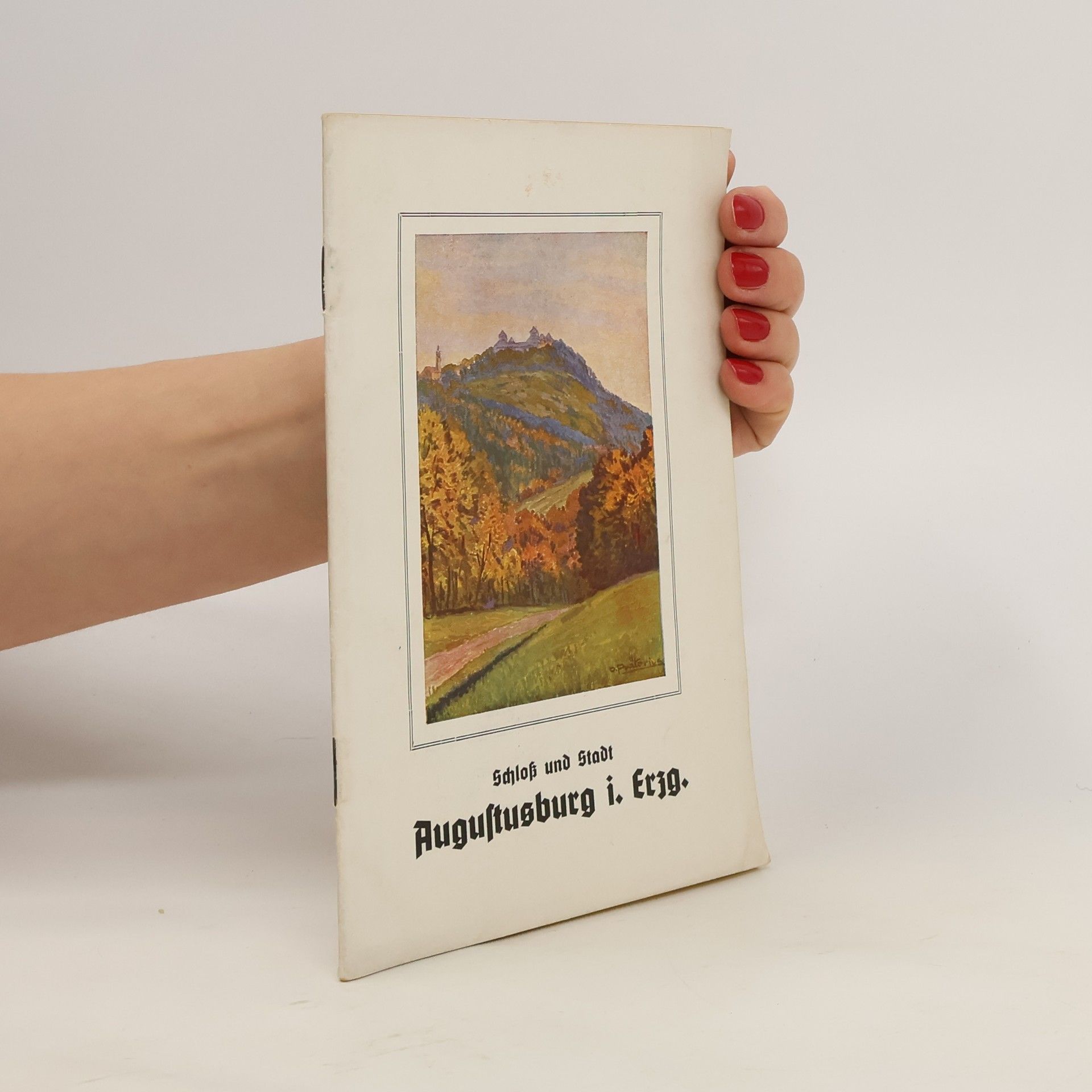 AA.VV. Schloß und Stadt Augustusburg