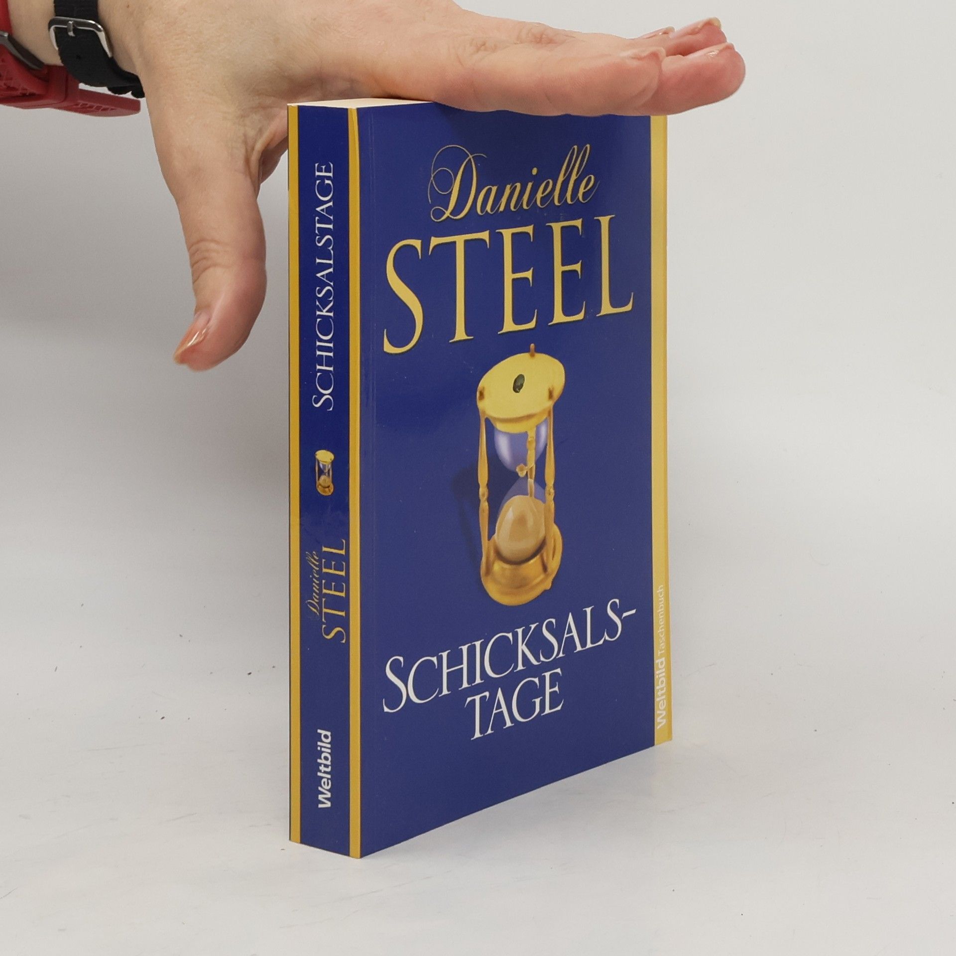 Danielle Steel Schicksalstage