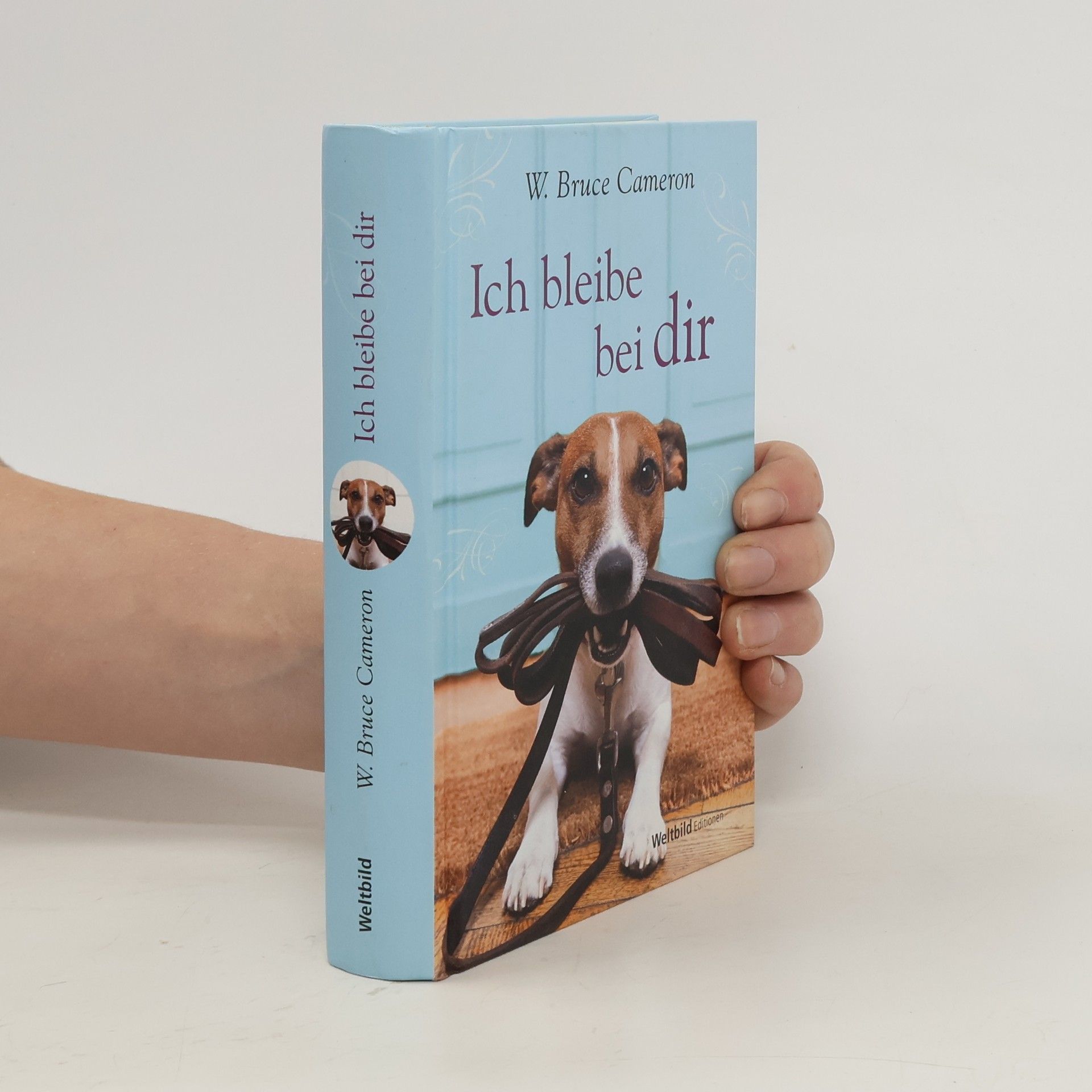 W. Bruce Cameron Ich bleibe bei dir