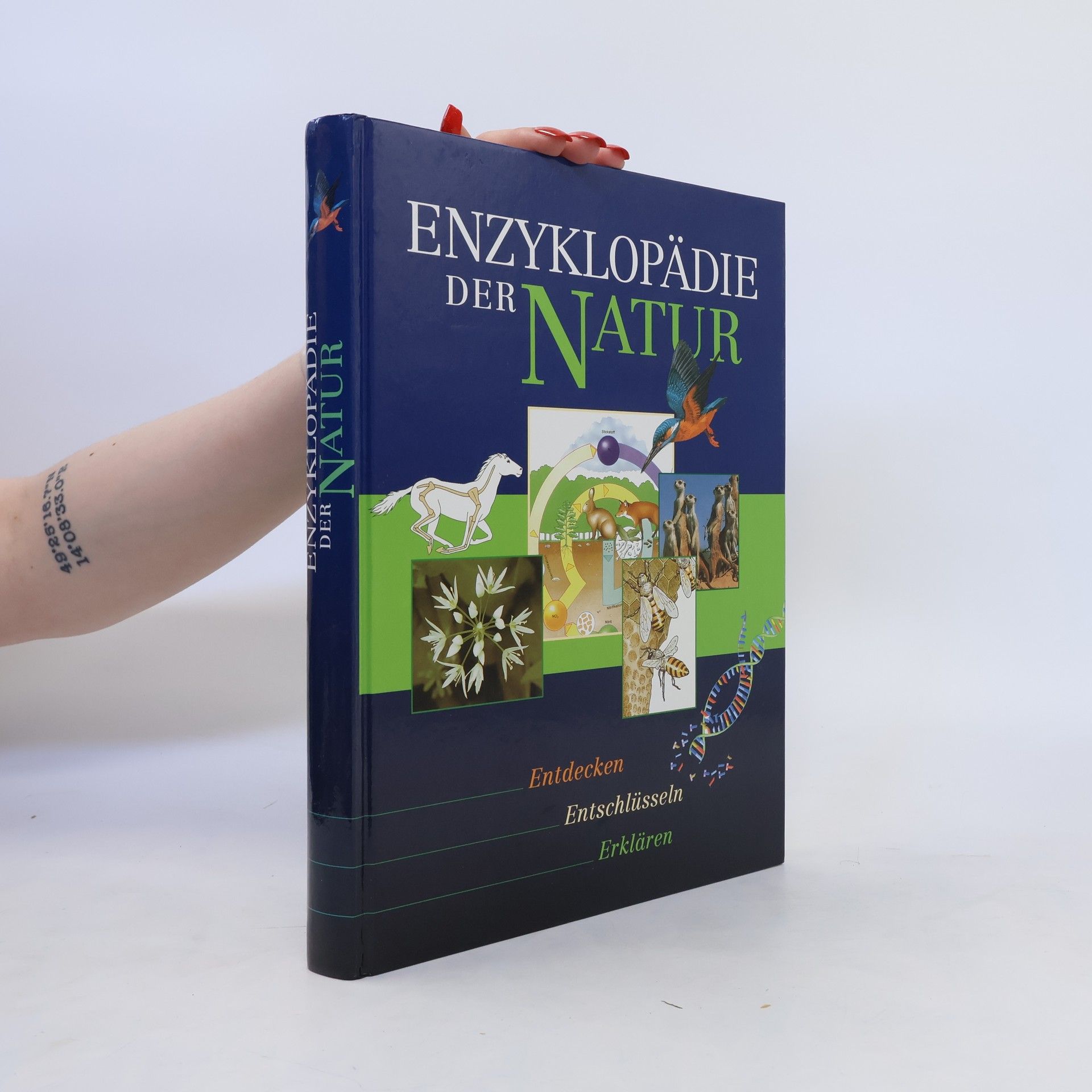 kolektiv Enzyklopädie der Natur