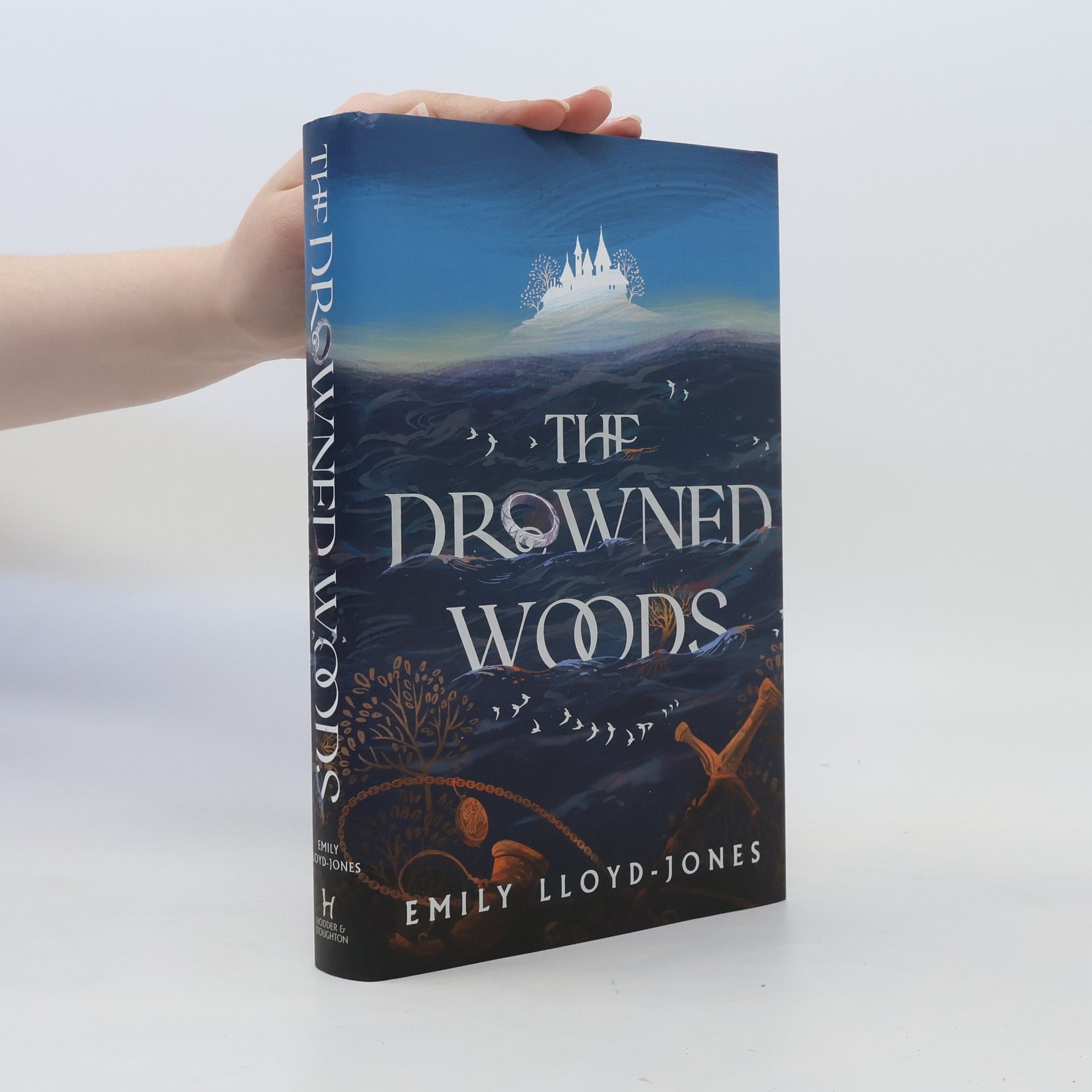 Emily Lloyd-Jones The Drowned Woods